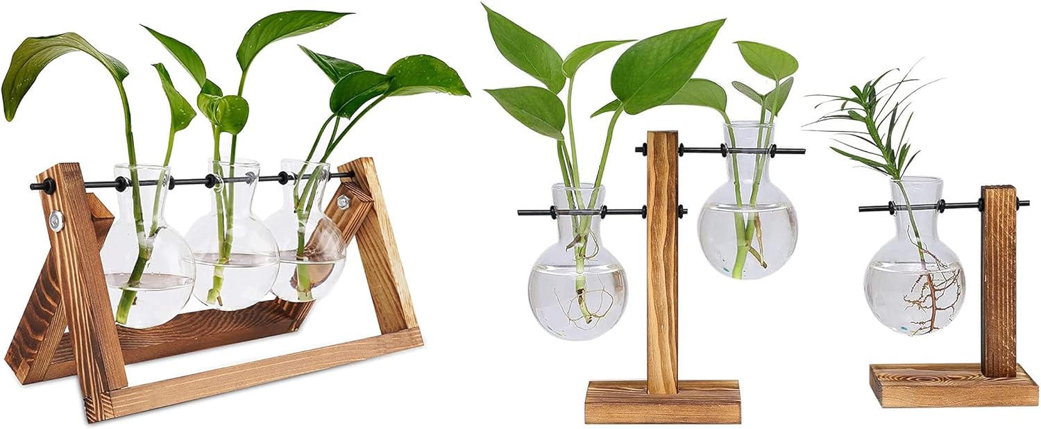 Propagation Stations, Desktop Glass Planter Bulb Vase Air