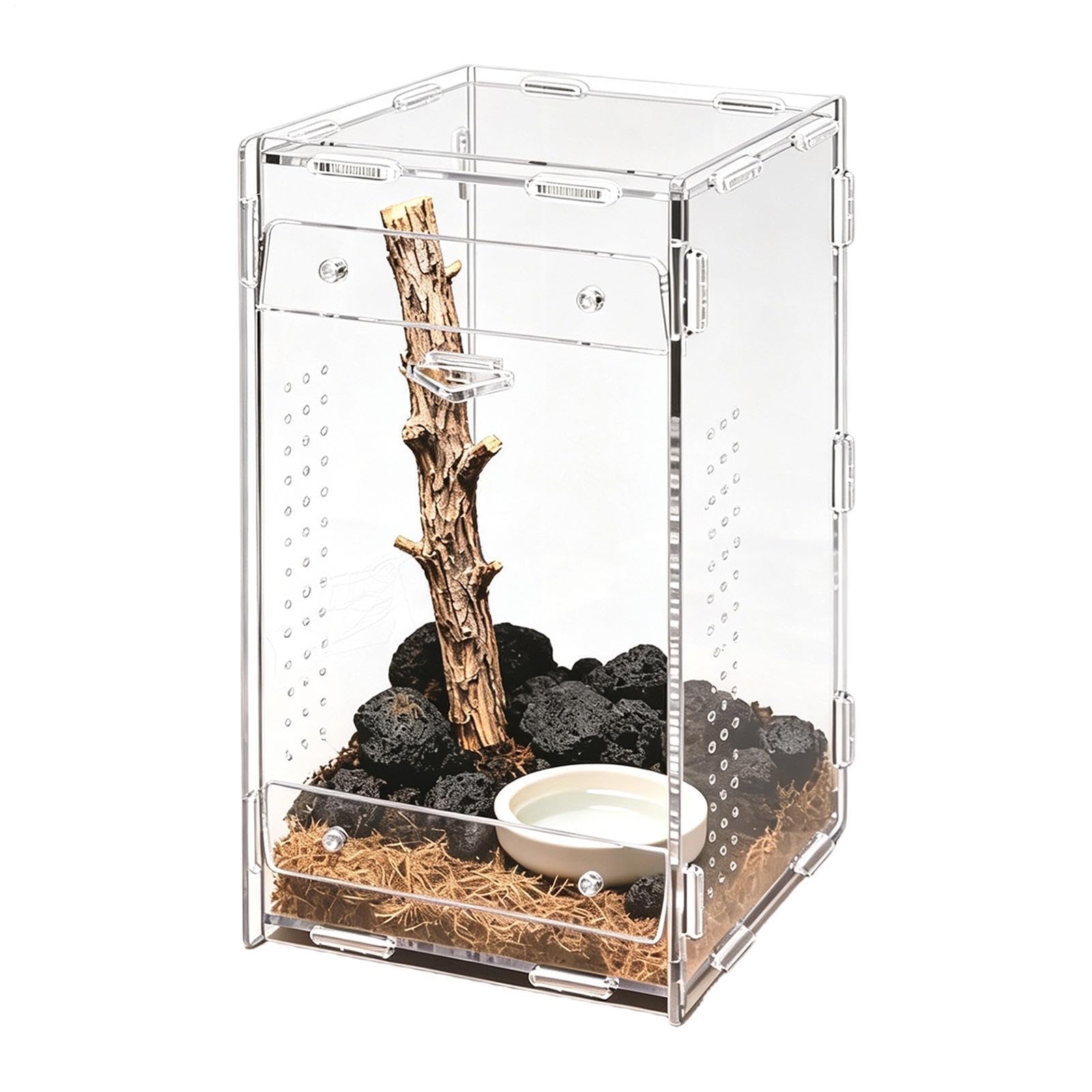 Terrarium pour tarantoles enclos panoramique pour mantide
