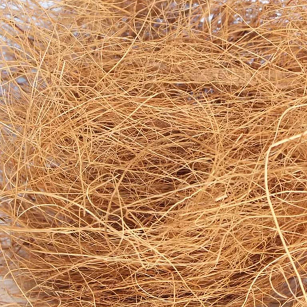 See full amazon price history chart for Natural Coconut Fiber Nesting Material 200grm for Birds/Small Animals and Potted Plants Natural Coconut Fiber Nesting Material 200grm for Birds/Small Animals and Potted Plants (B0CYHJ5G6N) Amazon Price History, Amazon Price Tracker