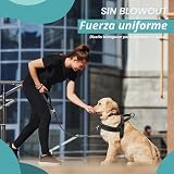 Ver la foto 6