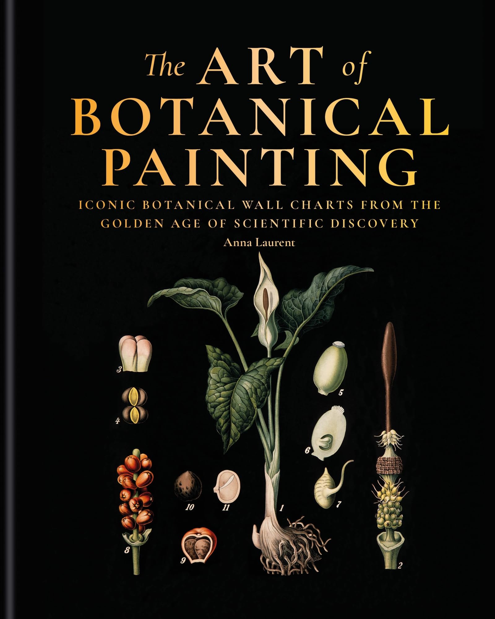 The Art of Botanical Painting: Iconic botanical wall charts from the golden age of scientific discovery