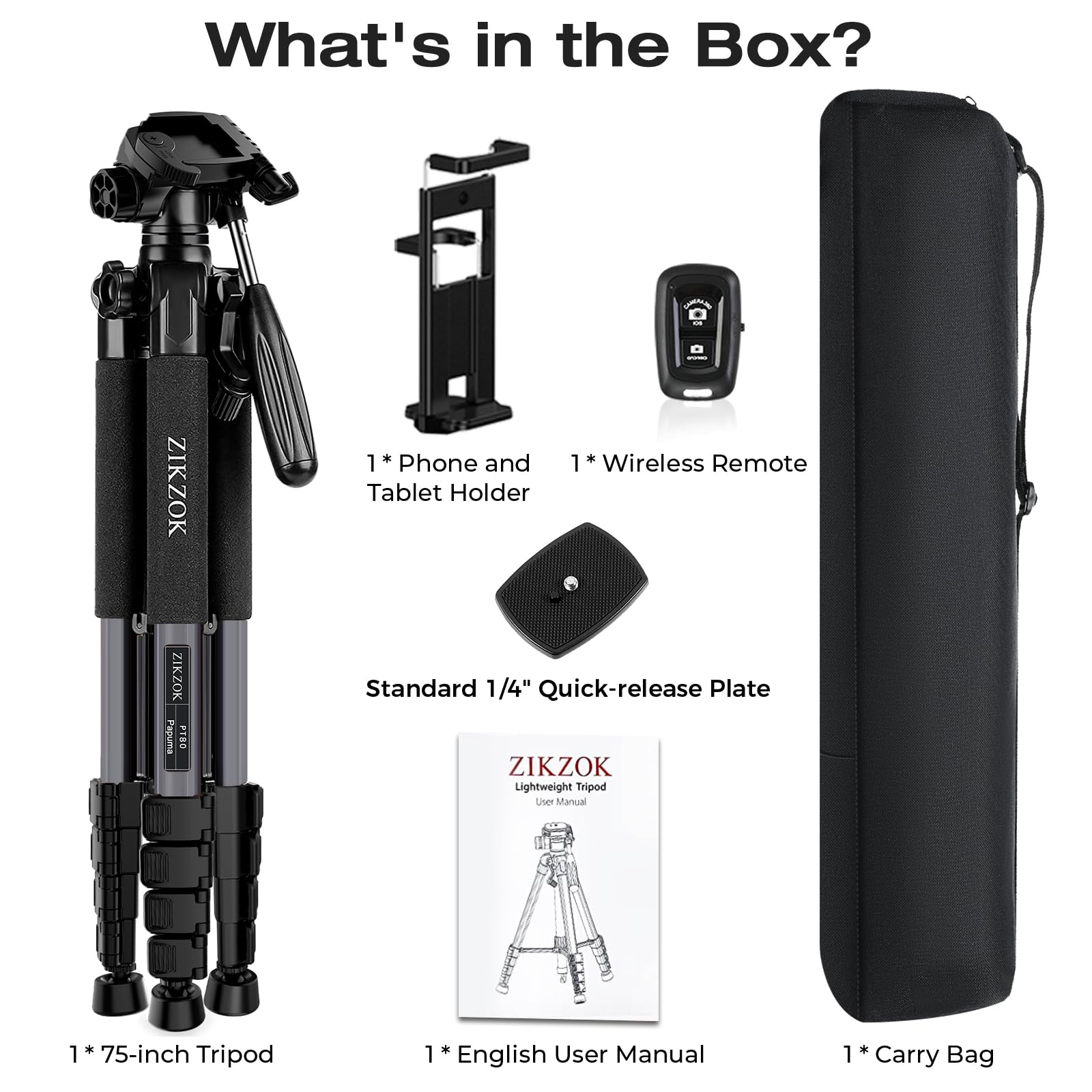 https://m.media-amazon.com/images/I/71Zp9rsxTRL.jpg