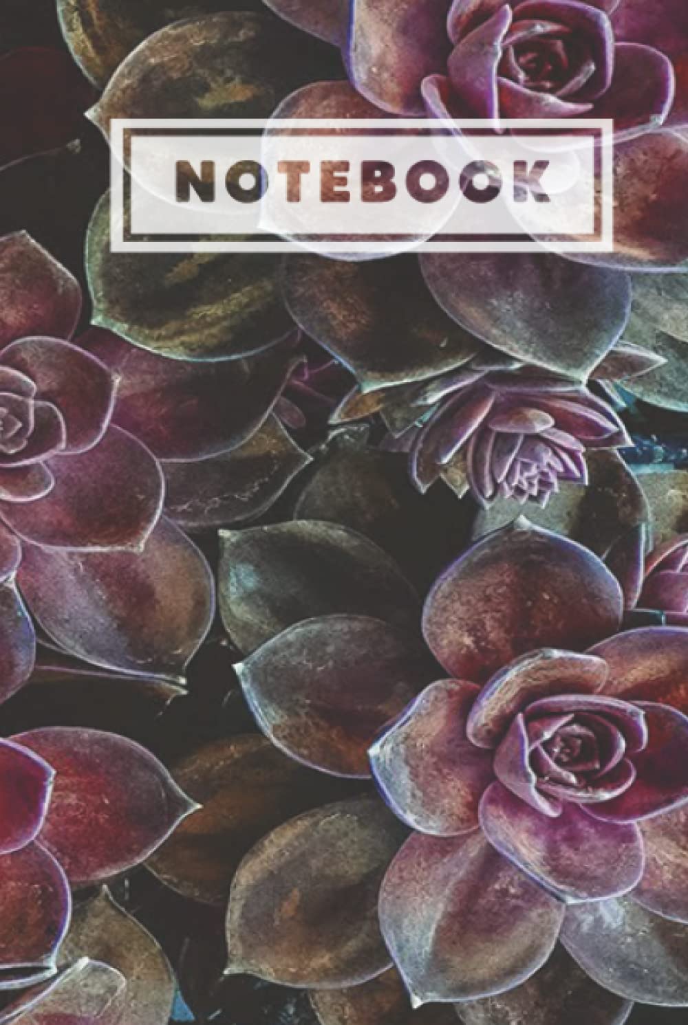 Carnet de composition succulentes roses contre la page blanche, journal intime rigide zen