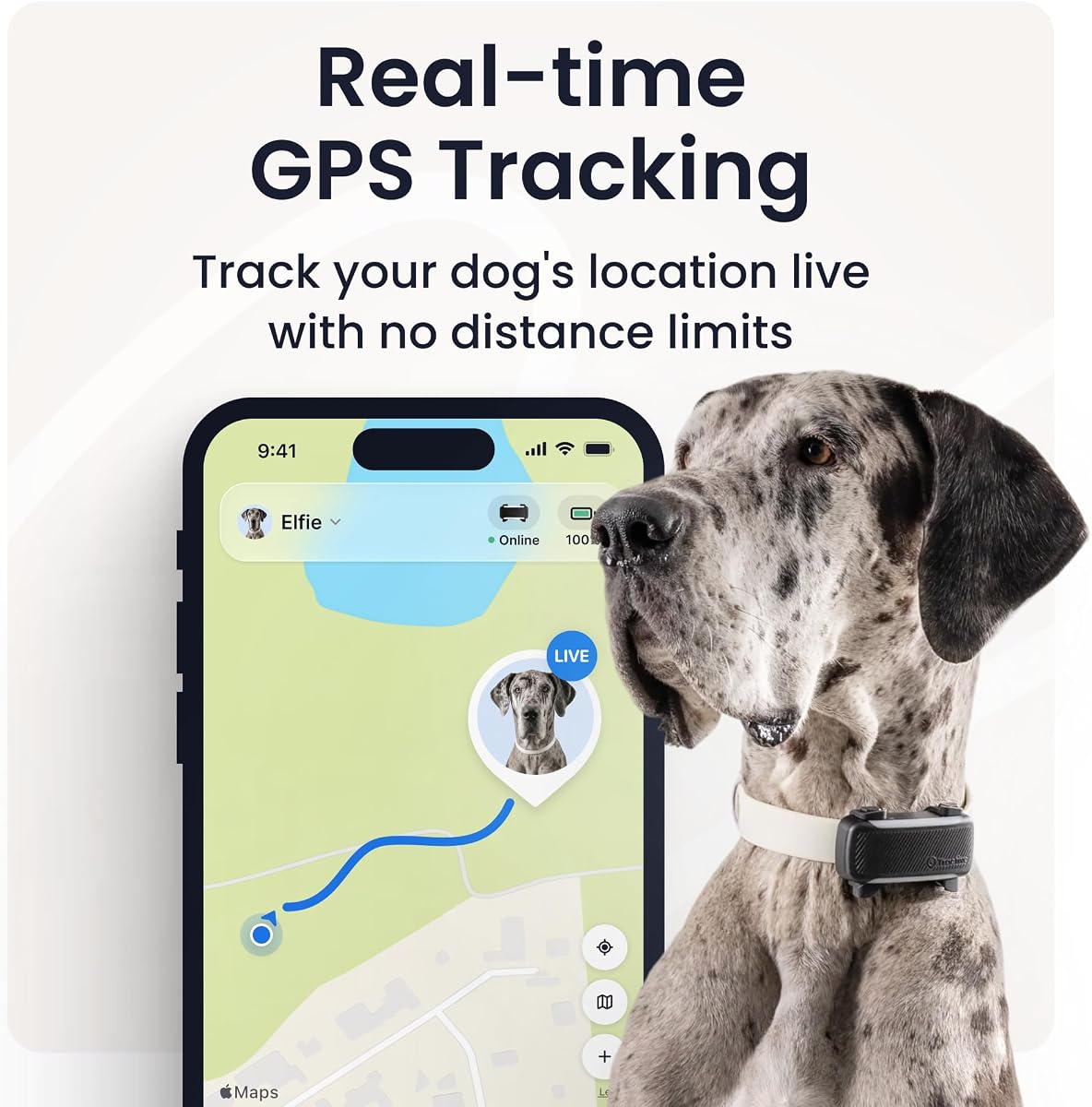 Tractive GPS Dog Tracker (LTE-M) view 2