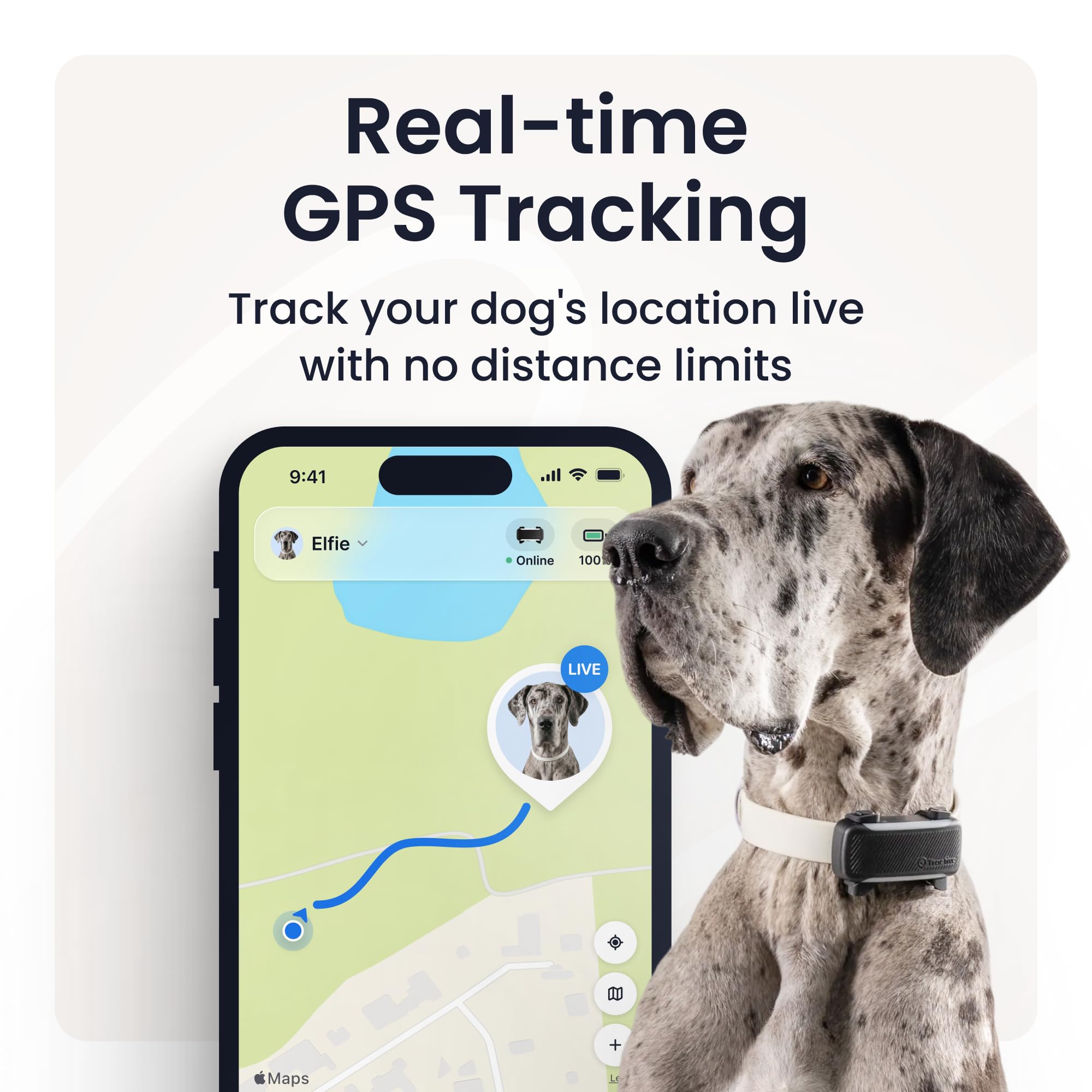 Amazon.co.jp: Tractive XL スマートドッグGPSトラッカー | ライブ