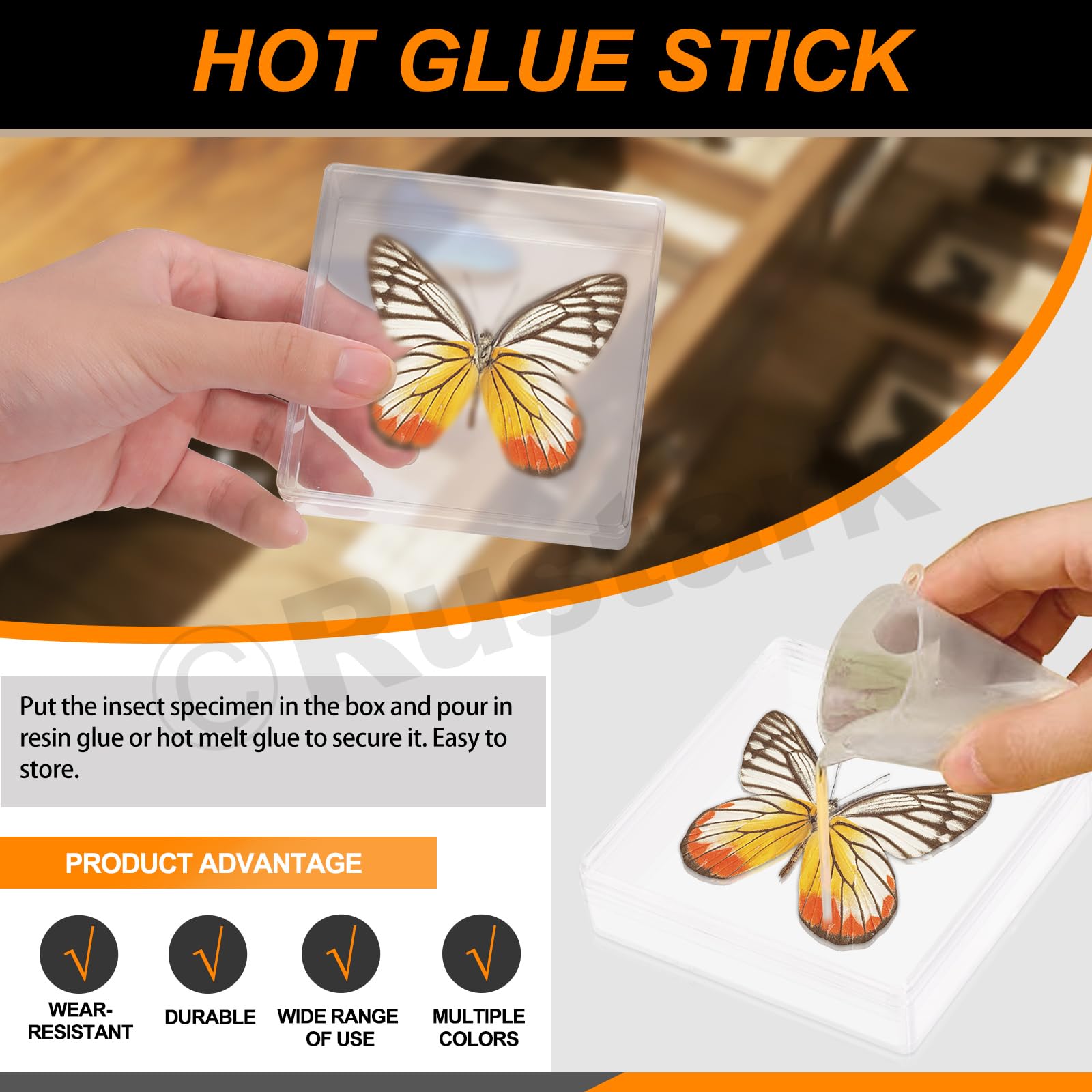 114 piezas de herramientas para hacer muestras de insectos, kit de fijación de insectos con bloque de fijación de insectos, alas, papel prensado, tablero de fijación de insectos, suministros