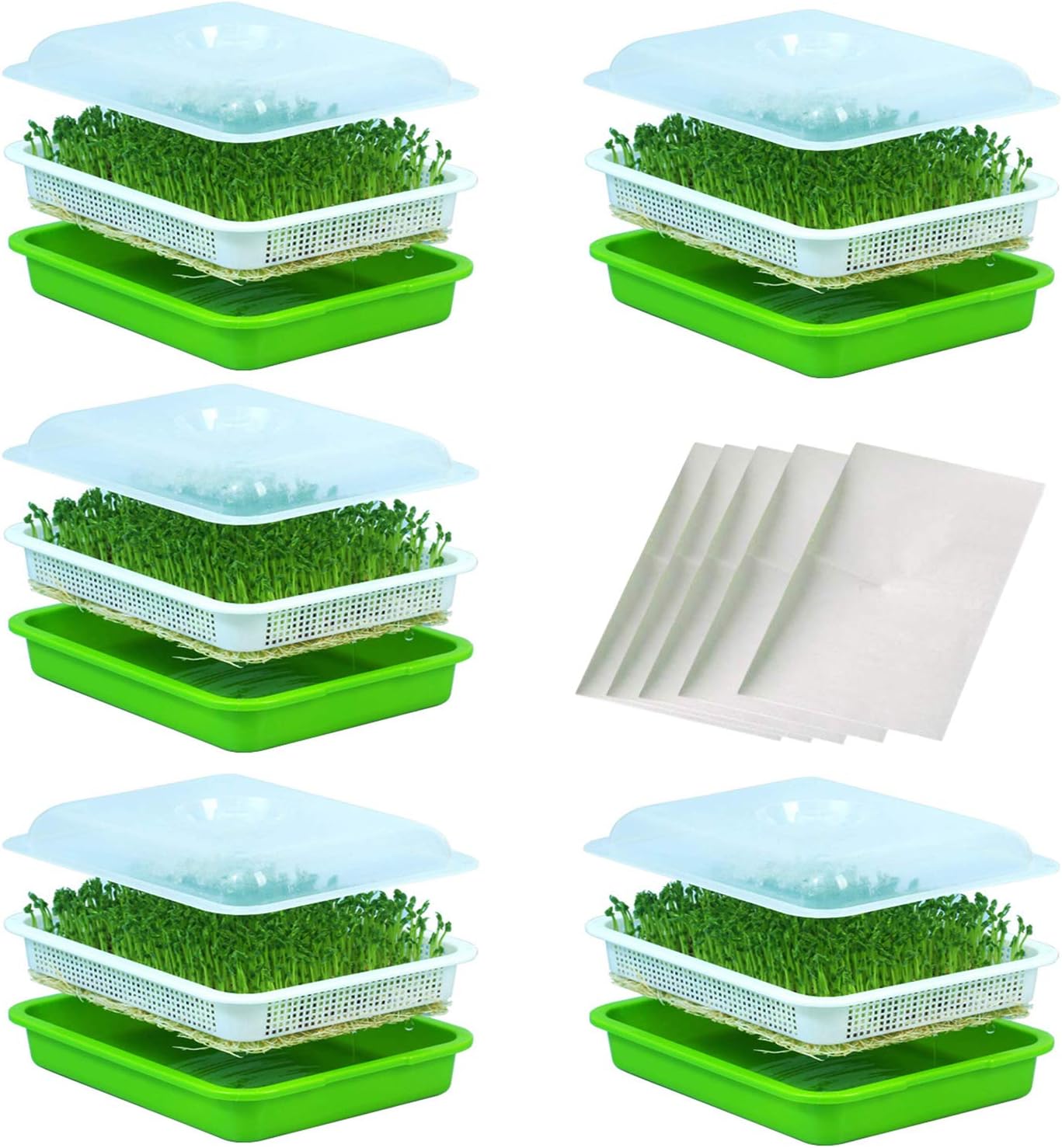 Blawicat Seed Sprouter Tray Seed Germination Tray BPA Free Nursery Tray for Seedling Planting Suit for Garden Home Office (5pcs with lid)