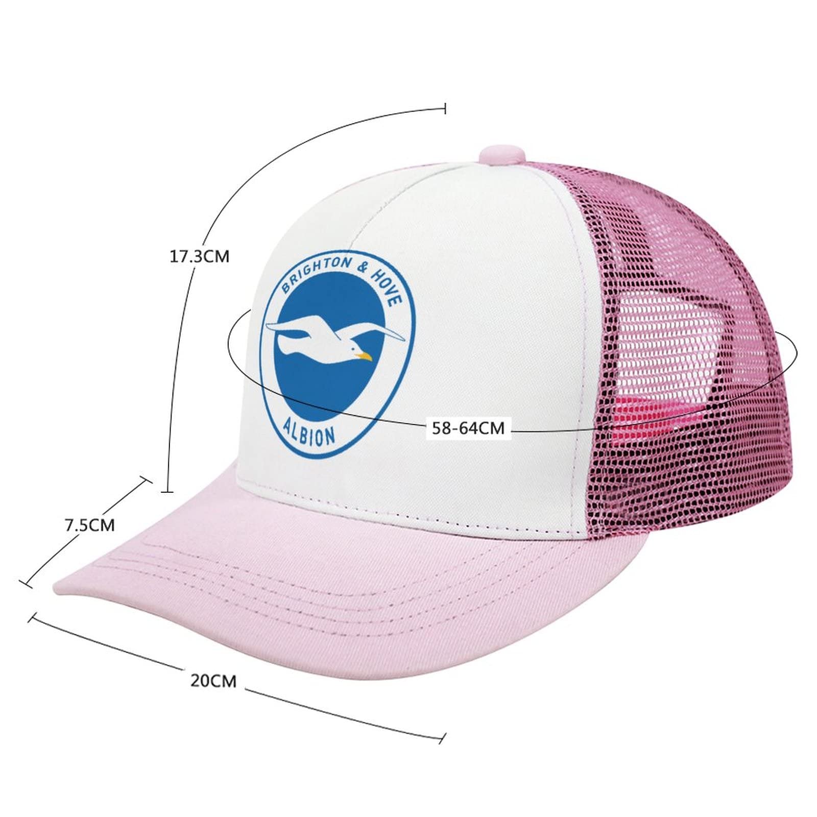 Amazon.co.jp: ブライトン・アンド・ホーヴ・アルビオンFC