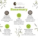 CARMEL ORGANICS Rosemary Leaves 250 Gram, With Spray Bottle gallery image
