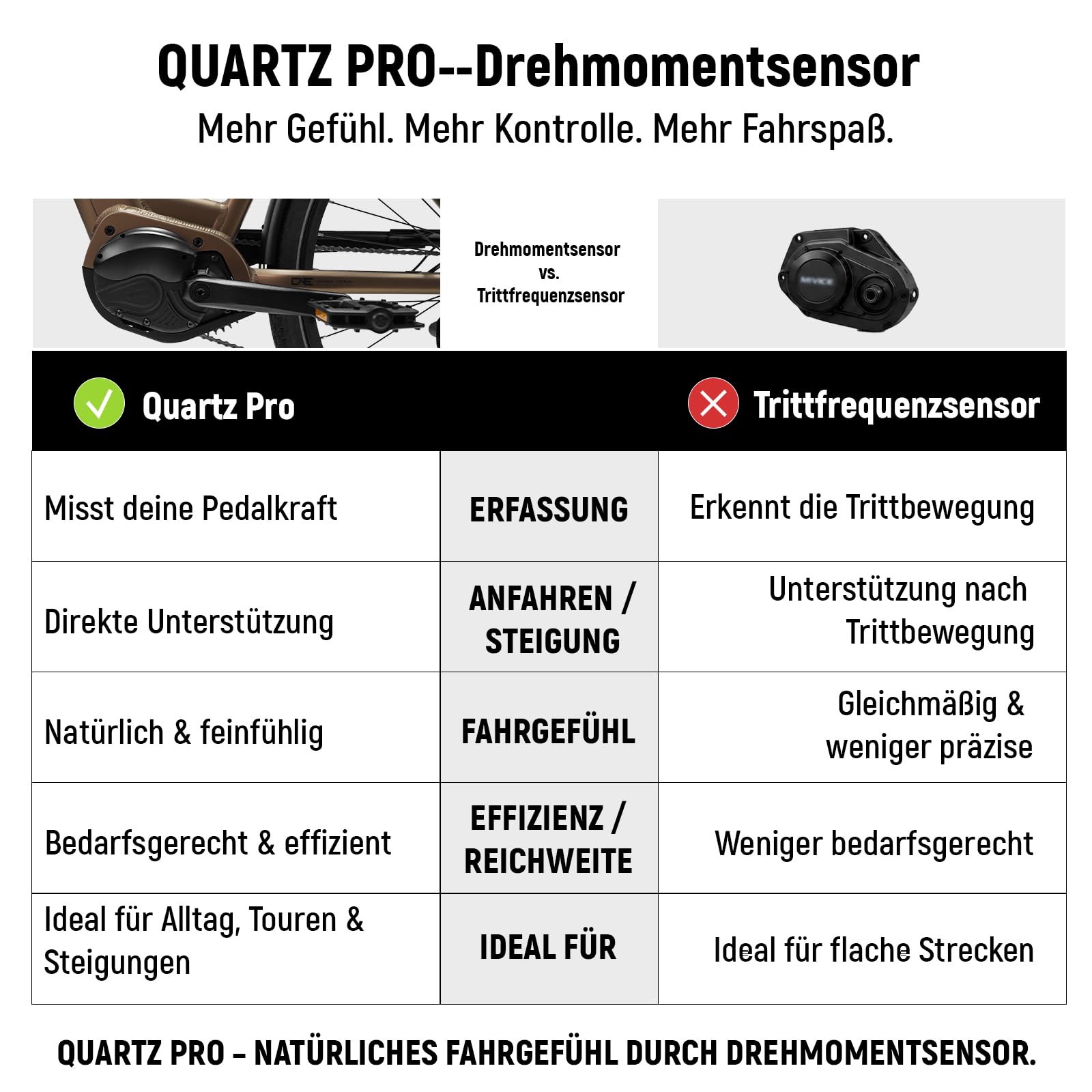 DERUIZ Quartz Pro E-Bike 28", motore centrale da 250 W, sensore di coppia
