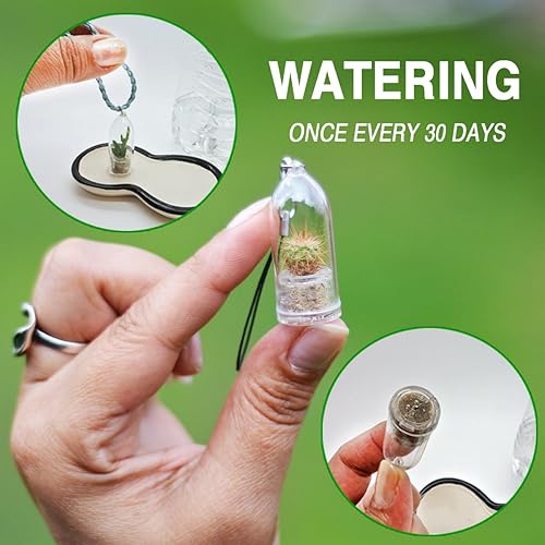 Miniatura 6 de Pearls Live - Collar de plantas de terrario suculento con collar tejido azul de 17 pulgadas