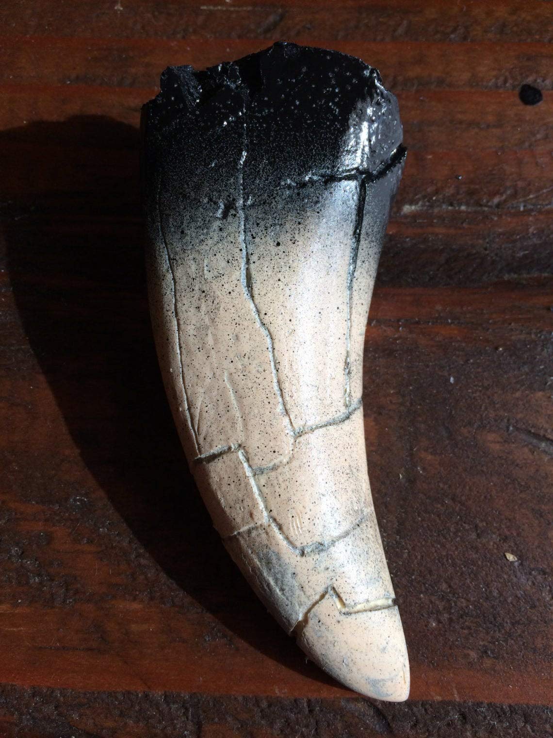 Life Size Tyrannosaurus Rex (T Rex) Dinosaur Tooth Fossil Replica