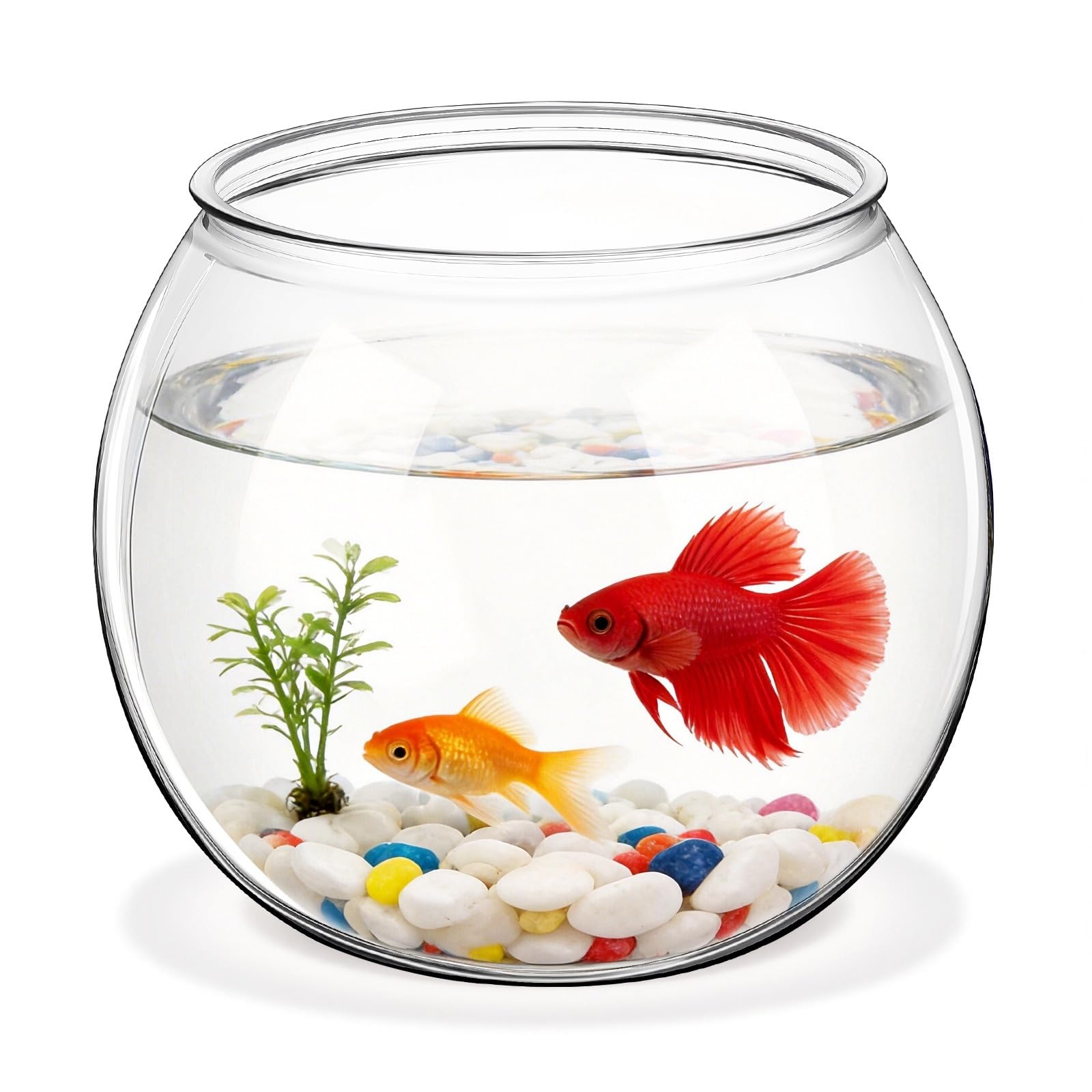 Alipis 1 Pc Small Fish Bowl Plastic Fish Tank Clear Round Aquarium Goldfish Bowl Shatterproof PET Globe Vase Container 5.89 x 5.11 Inches for Office Desktop Decoration Hydroponic Plant Holding