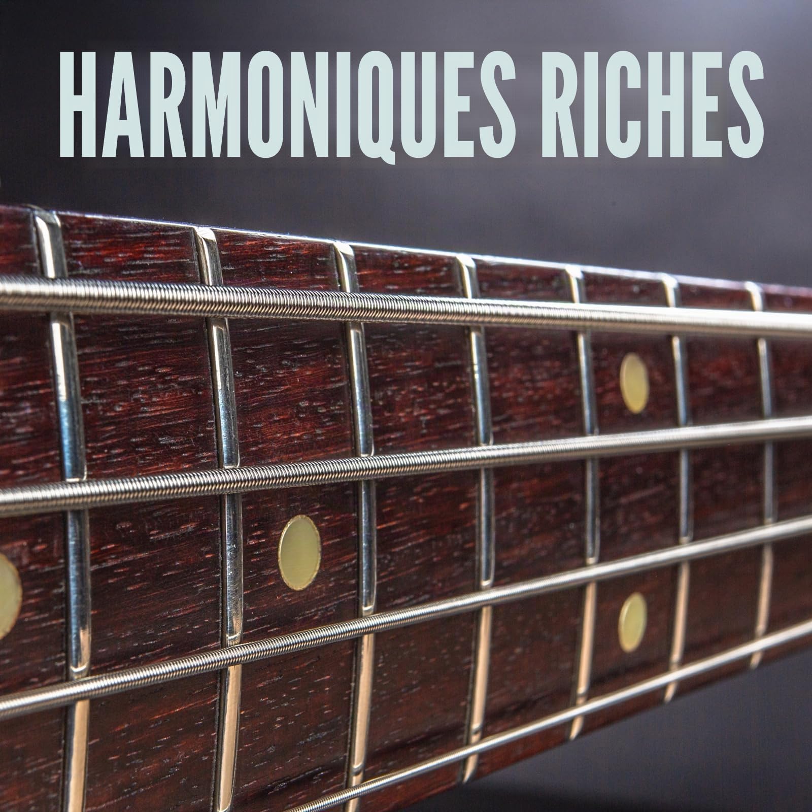 Dunlop Bass Nickel Wound DBN45125XL Jeu de cordes basses, 5 cordes, moyen.045 "-. 125 pouces, échelle très longue