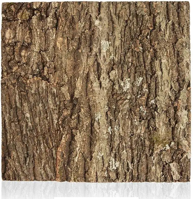 Swell Reptiles Natural Cork Tile Terrarium Background (40x55cm)