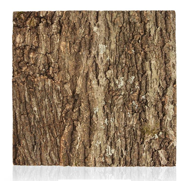 Sponsored Ad – Swell Reptiles Natural Cork Tile Background Enclosure Decor (25 x 40cm approx.)