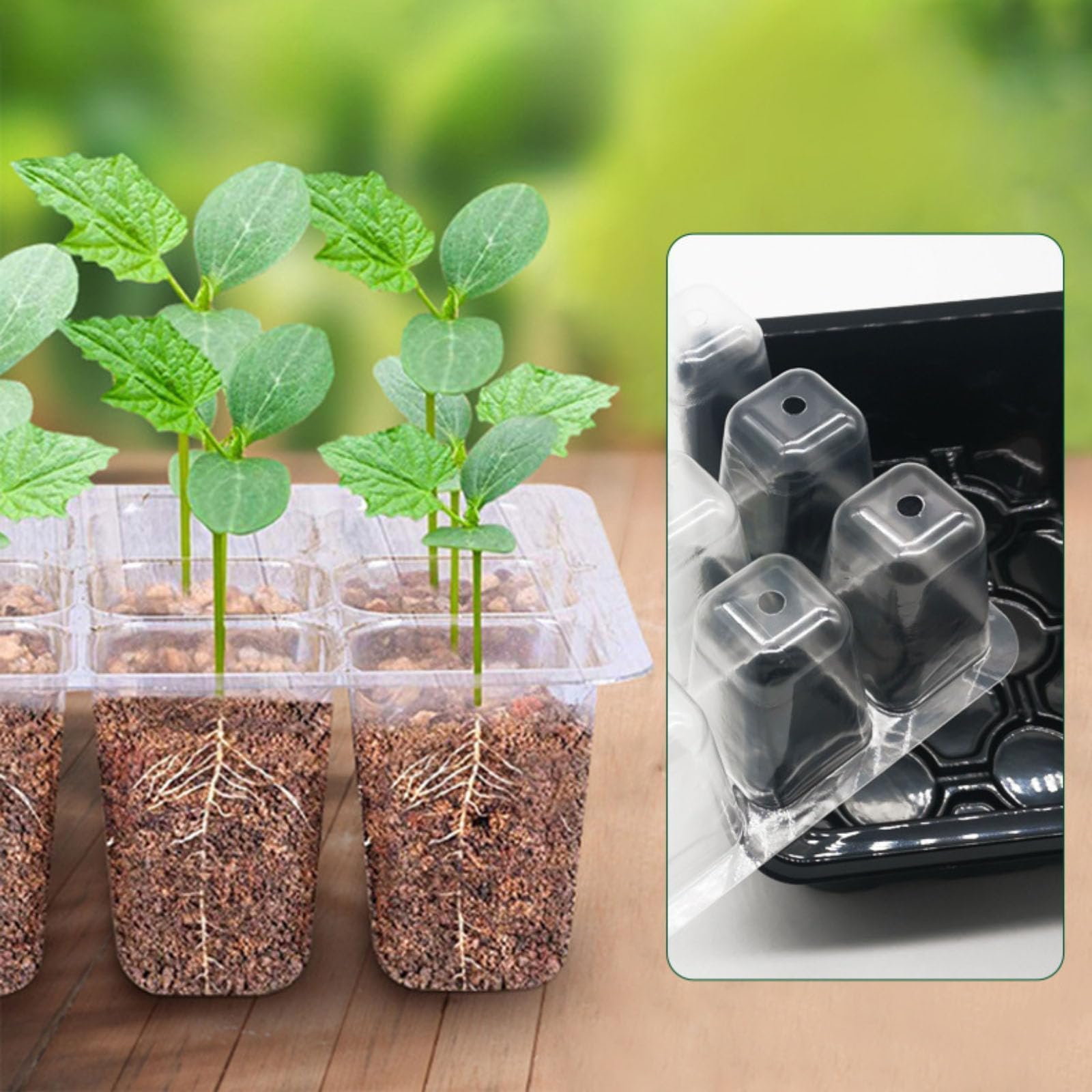 Mini Serre pour Semis avec Lumière de Croissance, 6 Pièces Bac à Semis avec Contrôleur de Minuterie Luminosité Réglable, Plateau de Culture pour Plantes Universel intérieur avec Couvercle Ventilé