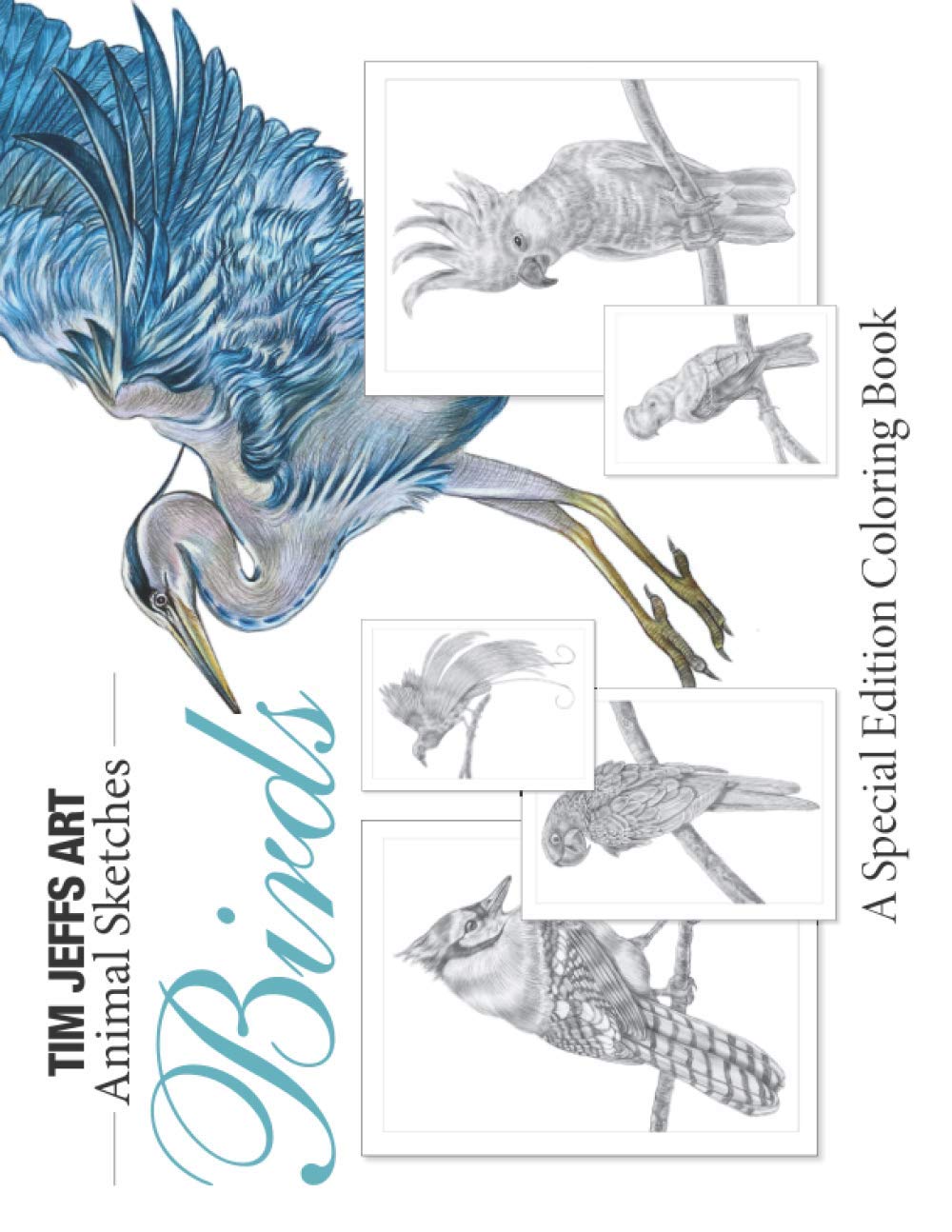 Birds: A Special Edition Coloring Book (Animal Sketches)