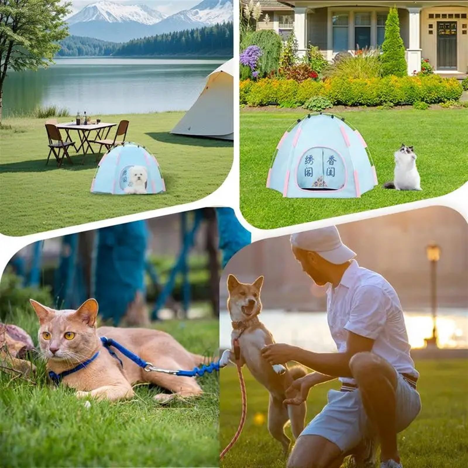 Tentpour animaux de compagnie Tente de refroidissement for chat et animal de compagnie, grotte de voyage en plein air, maison de couchage for chat, lit confortable for chiot, chenil for chat, fournitu