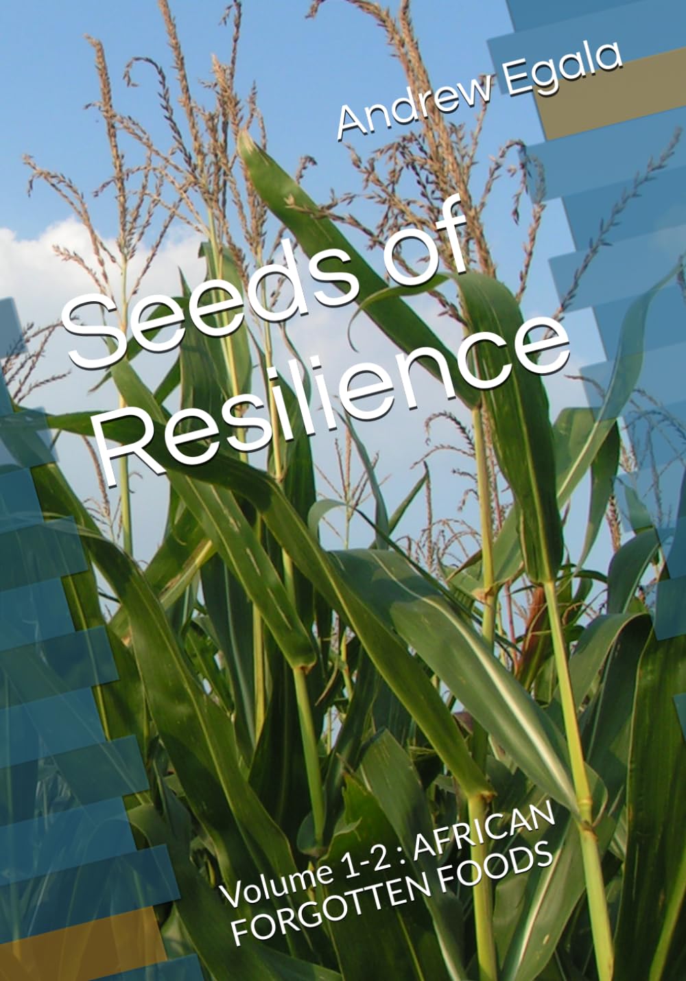 Seeds of Resilience: Volume 1-2 : AFRICAN FORGOTTEN FOODS