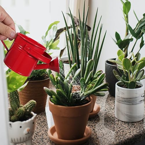 Miniatura 8 de DOITOOL Regadera pequeña de metal, 2 macetas de jardinería, cubo de riego de jardín (rojo y azul claro)