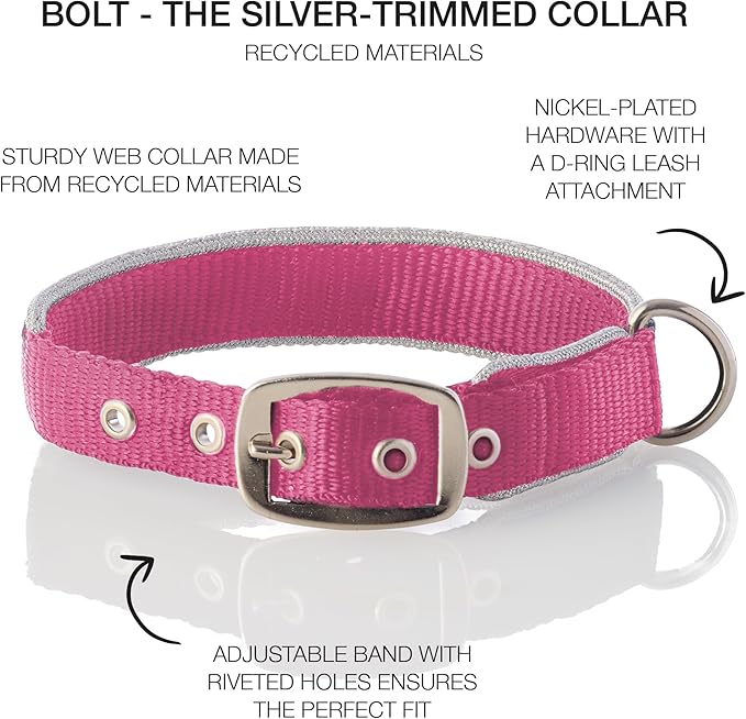 Collar Ajustable Pet Passion para Perro Pequeño Plateado/Rosa miniatura 2