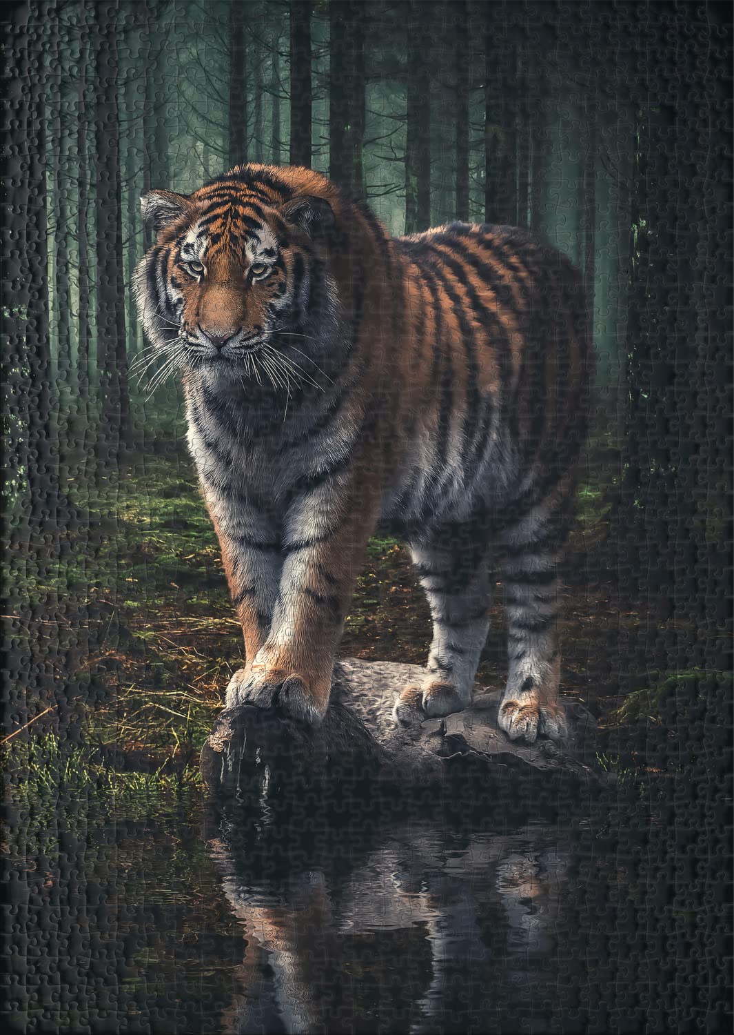 Ulmer Puzzleschmiede, Puzzle "Ruler of the Dark Forest", The Majestic Siberian Tiger Stalks into the Night - Image 2