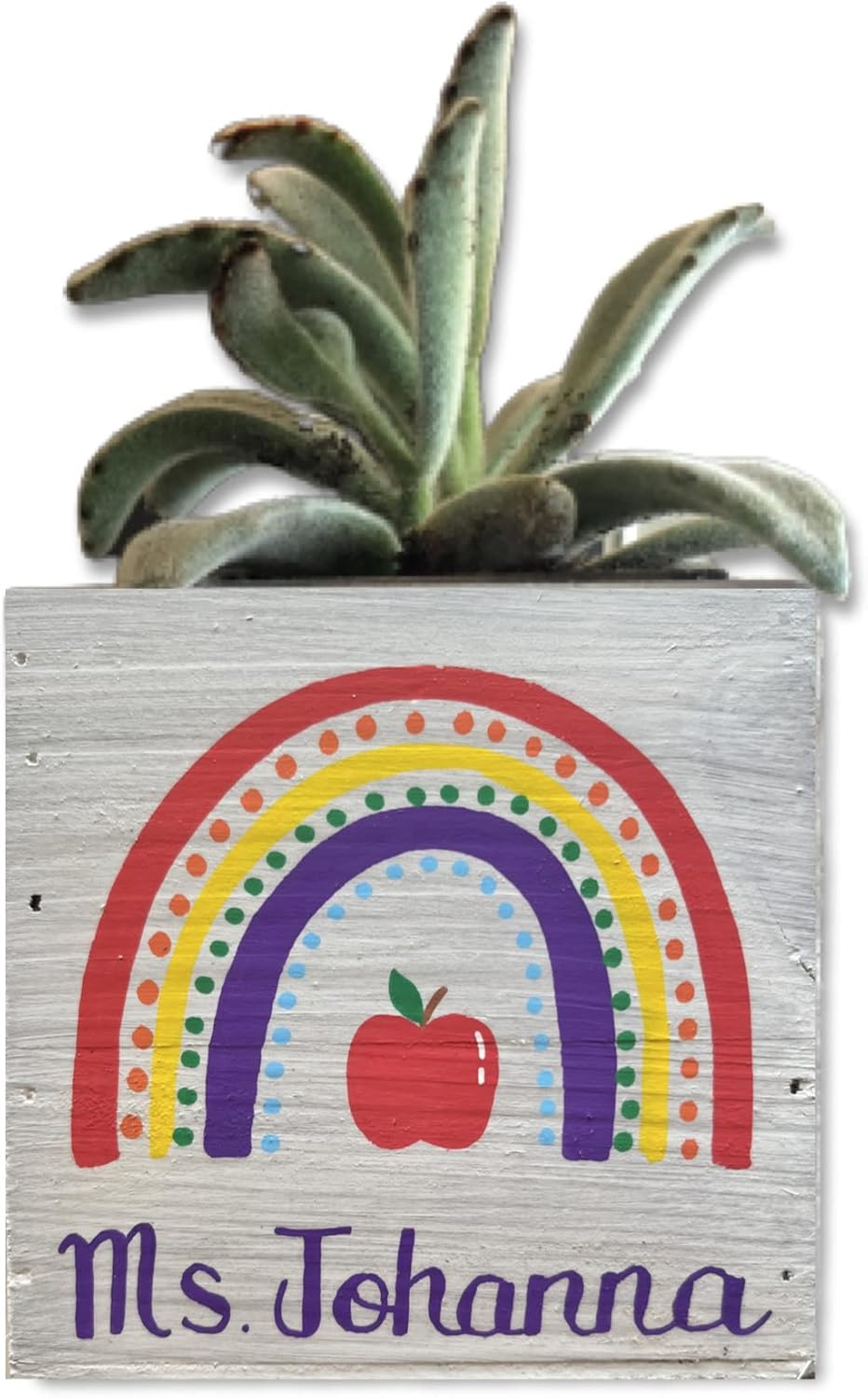 Personalized Teacher Planter, Rainbow Apple, Student Class Appreciation, Thank You Gift