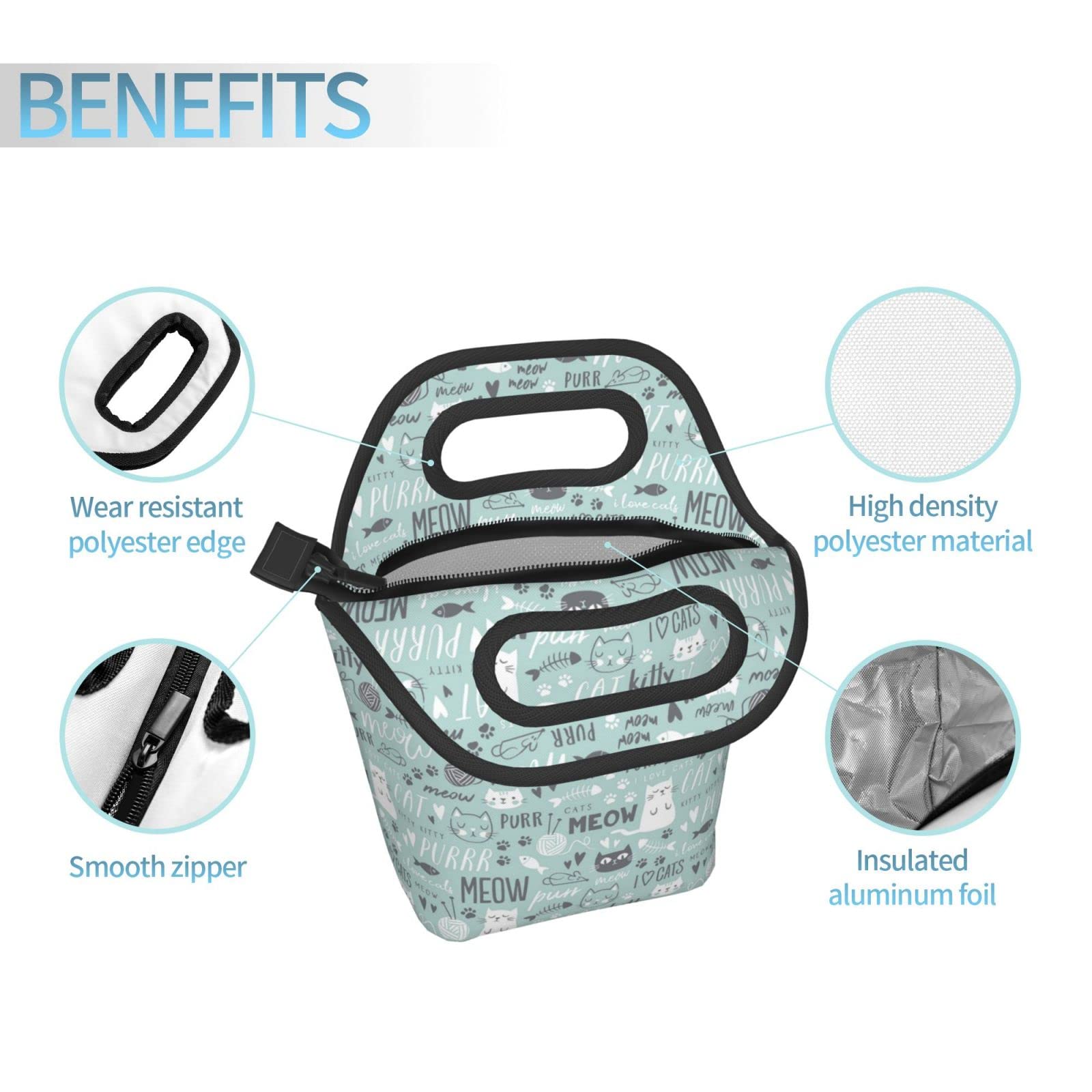 Isolierte Lunchbox Mit Süßem Eulen-Motiv – Perfekt Für Schule, Büro & Picknick