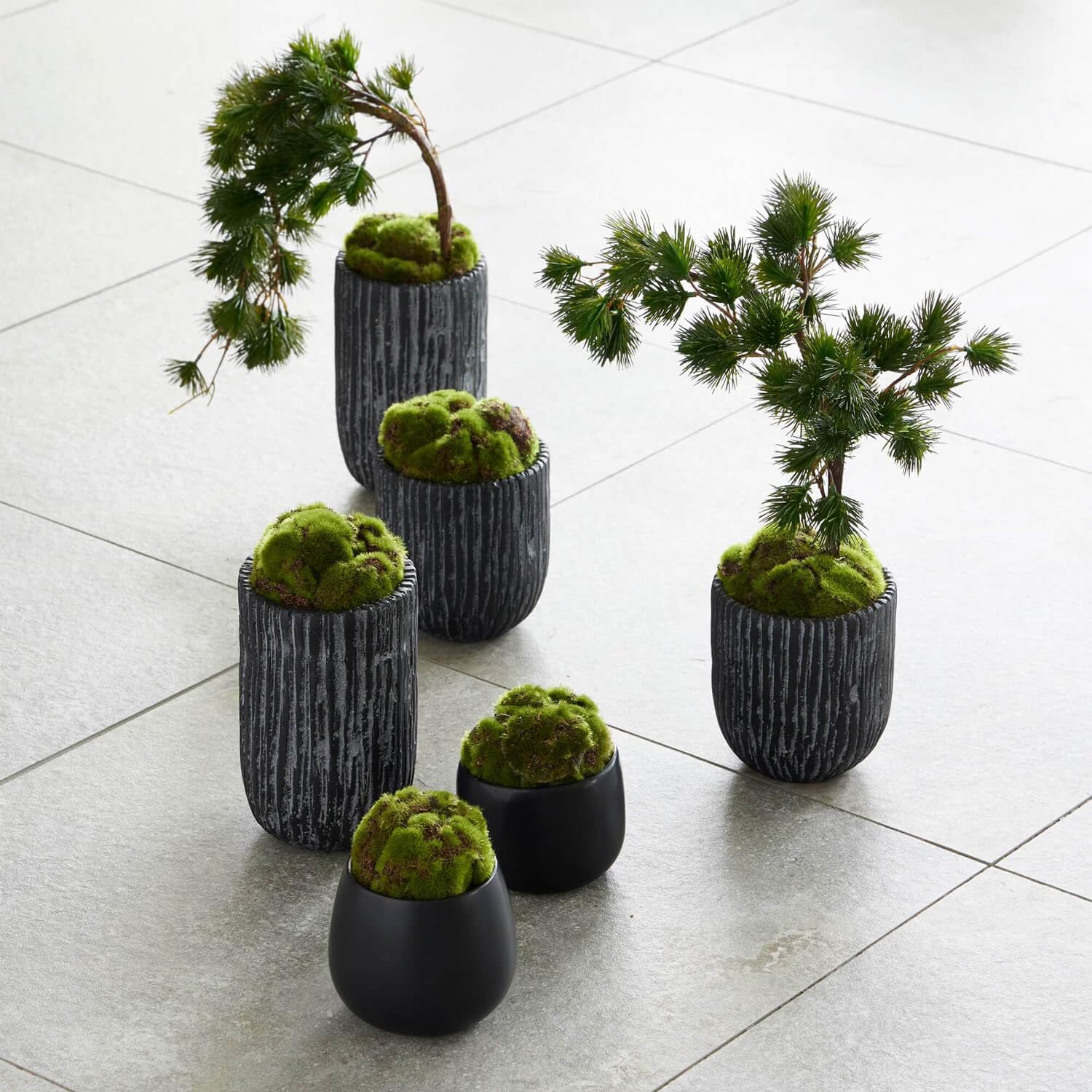 Amazon｜CUP BON 苔盆 人工観葉植物 フェイクグリーン (苔盆S)｜人工