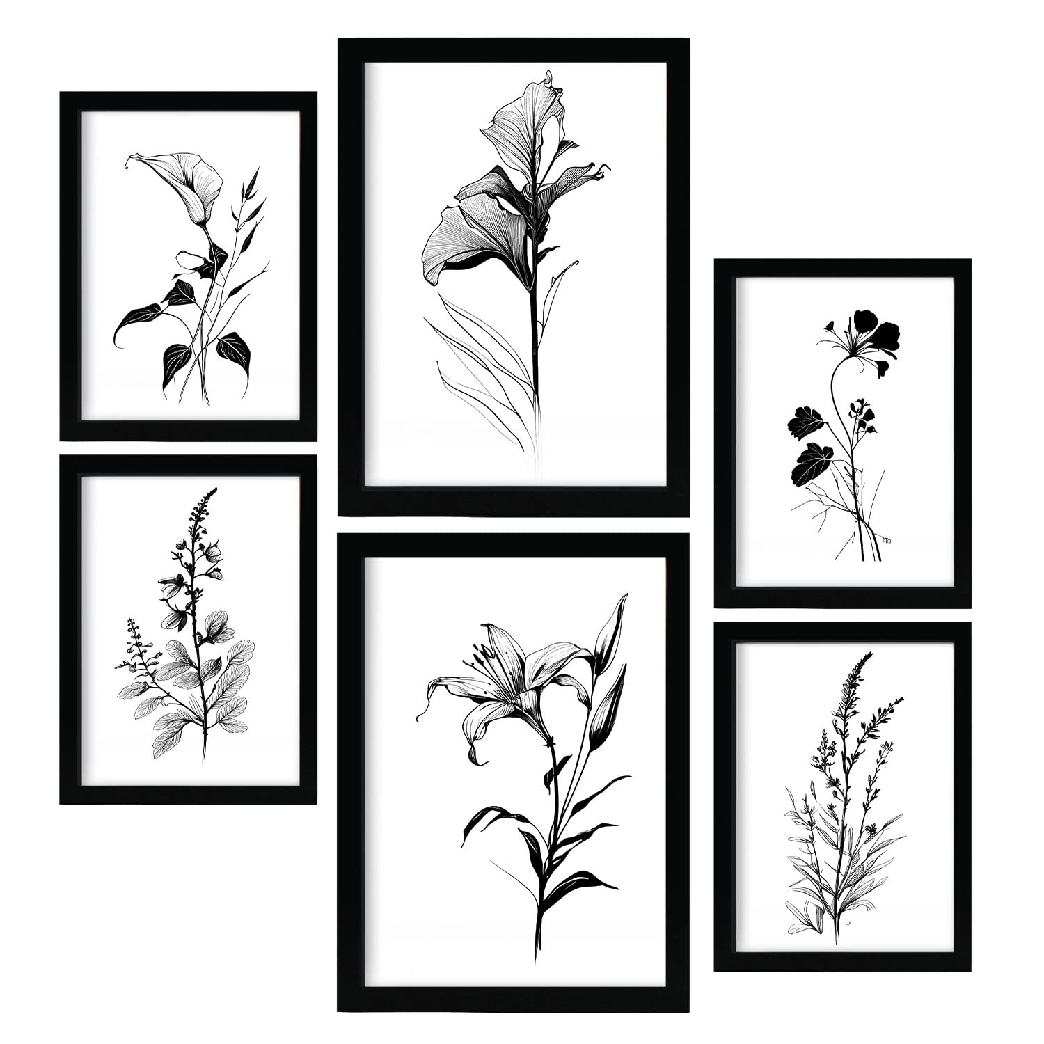 Nacnic Corsage Flowers Posters. Nature and Botany Prints with Floral Themes in Classic Black and White. Aesthetic Illustrations for Interior Design and Decoration. A4 & A3 Black Frames.
