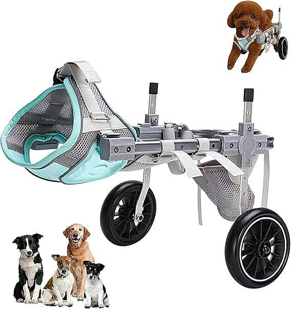 Dog Wheelchair For Back Legs,Legs Medium Large,Support Dog Front Leg With 2 Wheel,Mobility Adjustable Pet Cat Rabbit,For Walking,Disabled Assistant Exercise Brace(M,Two-wheeled)