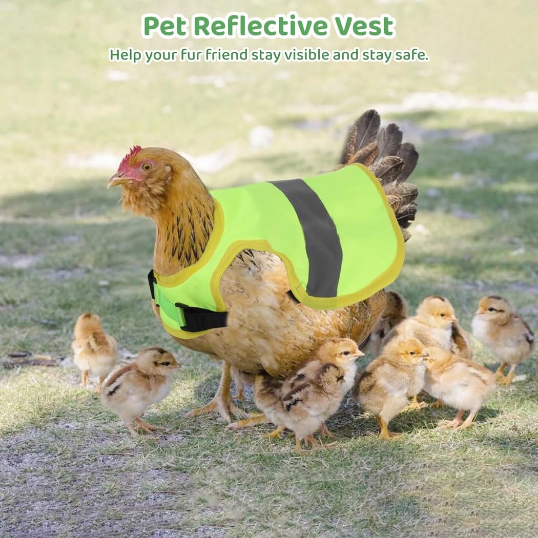 6 chalecos reflectantes para pollo, sillines de pollo ajustables, delantales impermeables con cierre de , arnés para pato, ganso, perro pequeño
