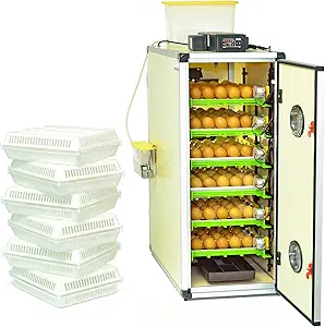 CT180SH Egg Incubator for Hatching 180 Eggs – Automatic Egg Turning & Humidity Control Cabinet | Large Chicken Incubator & Quail Incubator by Hatching Time