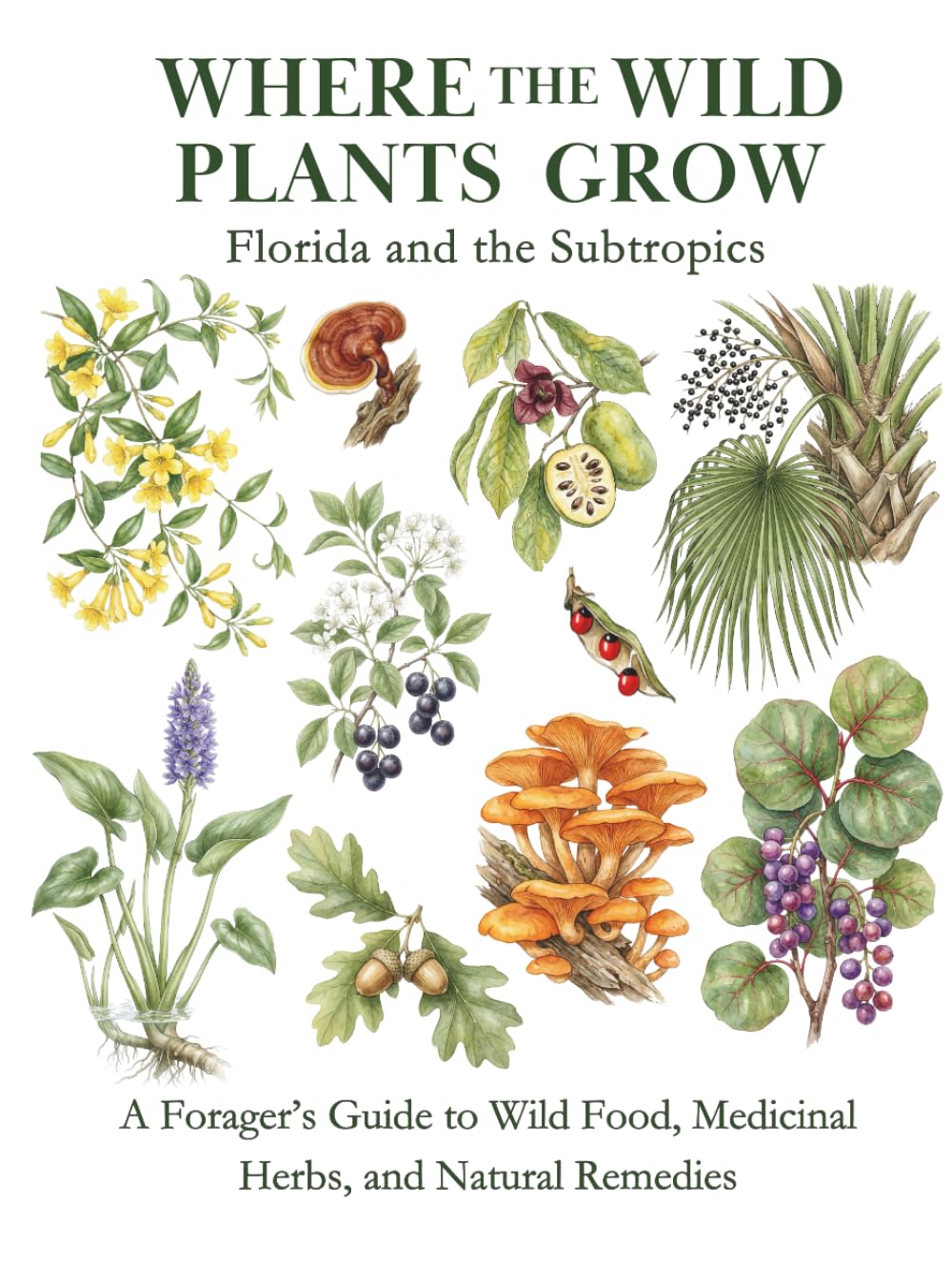 Florida and the Subtropics: A Forager’s Guide to Wild Food, Medicinal Herbs, and Natural Remedies (Where the Wild Plants Grow: Illustrated Foraging Guides)      Hardcover – February 3, 2026