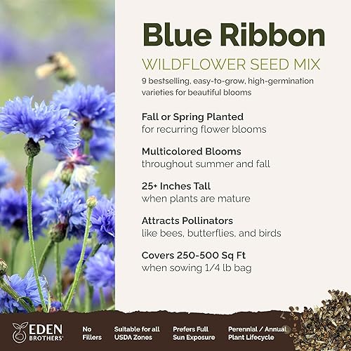 Miniatura 2 de Eden Brothers Blue Ribbon Flower - Semillas mixtas para plantar, 14 libras, más de 120,000 semillas con campanilla azul, azul aciano, achicoria,