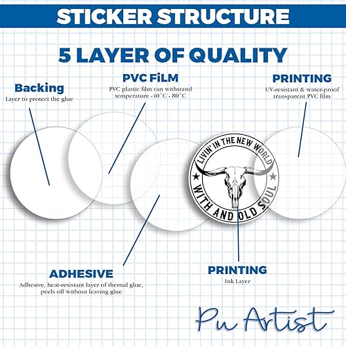 Miniatura 3 de Livin in the New World With an Old Soul Sticker Rich Men North of Richmond Decal No Brush Vinyl Die Cut Sticker Car Rear View Mirror Laptop Phone