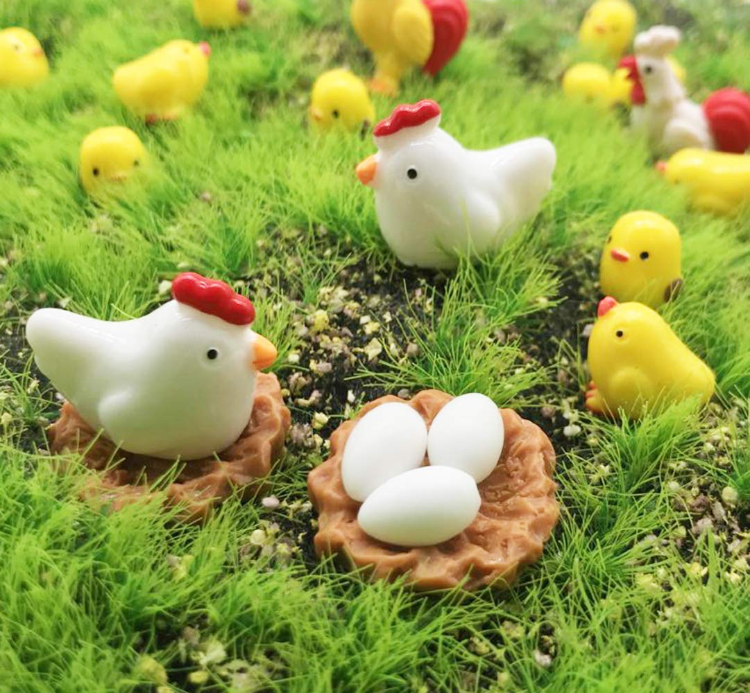 Miniature Chickens Eggs