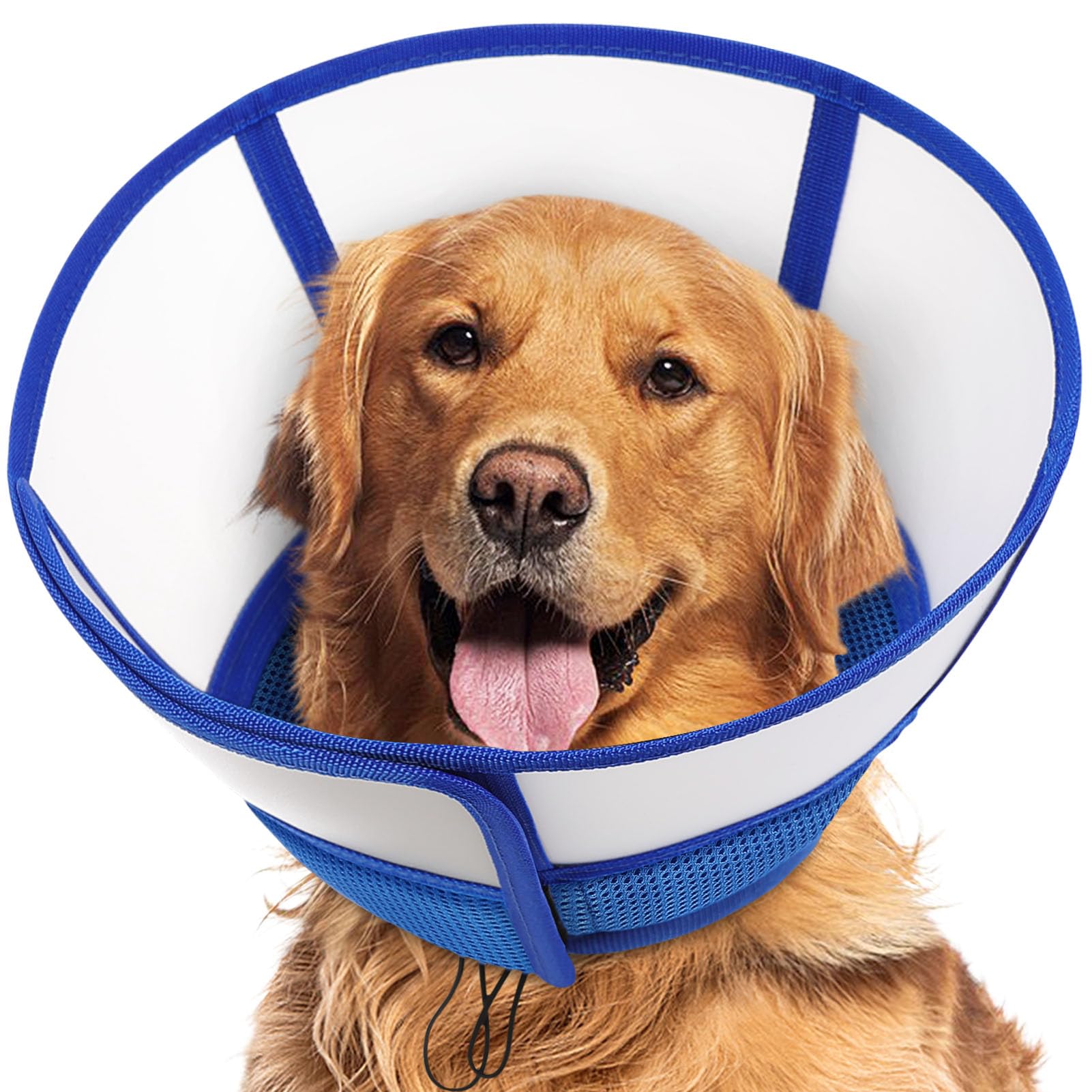 Photo 1 of Queenmore Dog Recovery Cone XL Blue