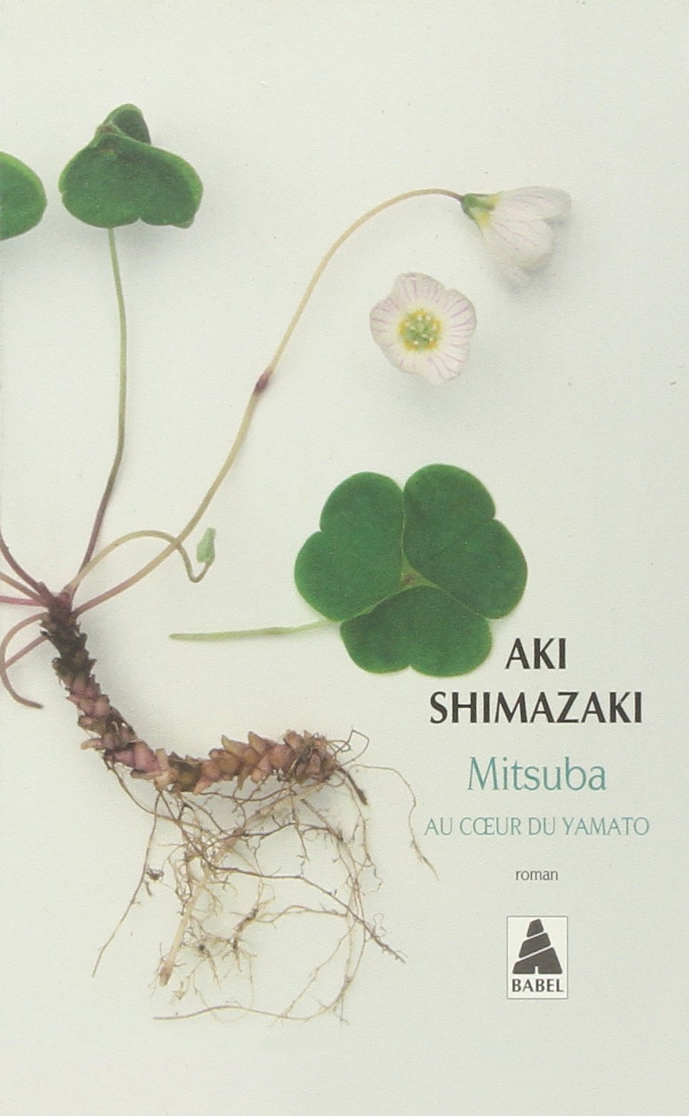 Au coeur du Yamato, Tome 1 : Mitsuba
