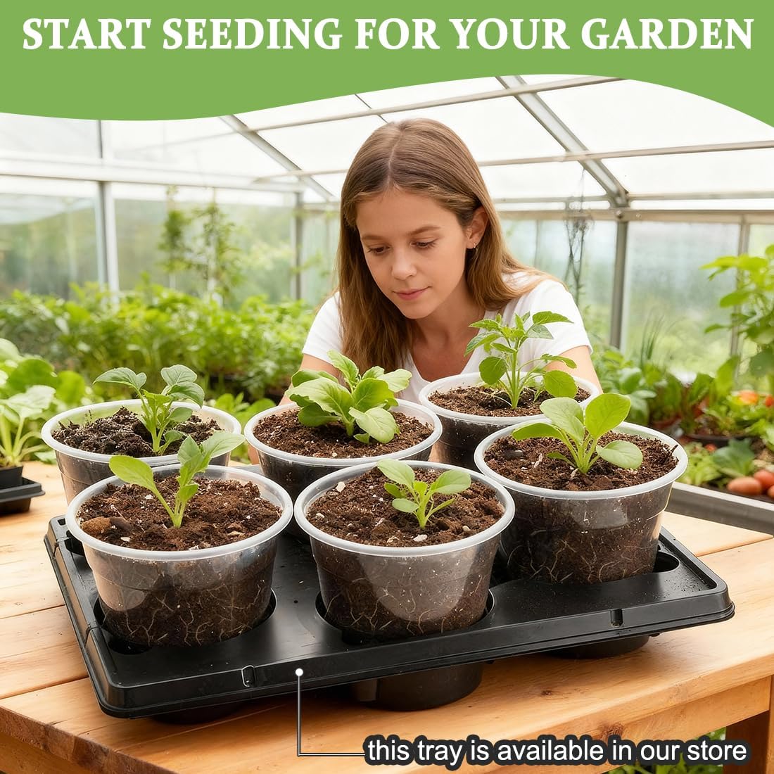 60 Pack 6 Inch Clear Nursery Pots for Plants, Flexible Plastic Plant Pots with Drainage Holes, Transparent Plant Starter Pots for Seedlings, Vegetable, Succulents, Flowers