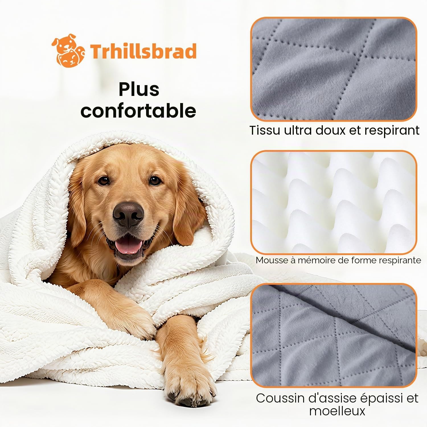 Siège Auto pour Chien de Moins de 25 kg, 80 x 50 x 42 cm | Cojín de 71 x 42 x 10 cm, funda extraíble y lavable, base antideslizante, 2 correas de seguridad