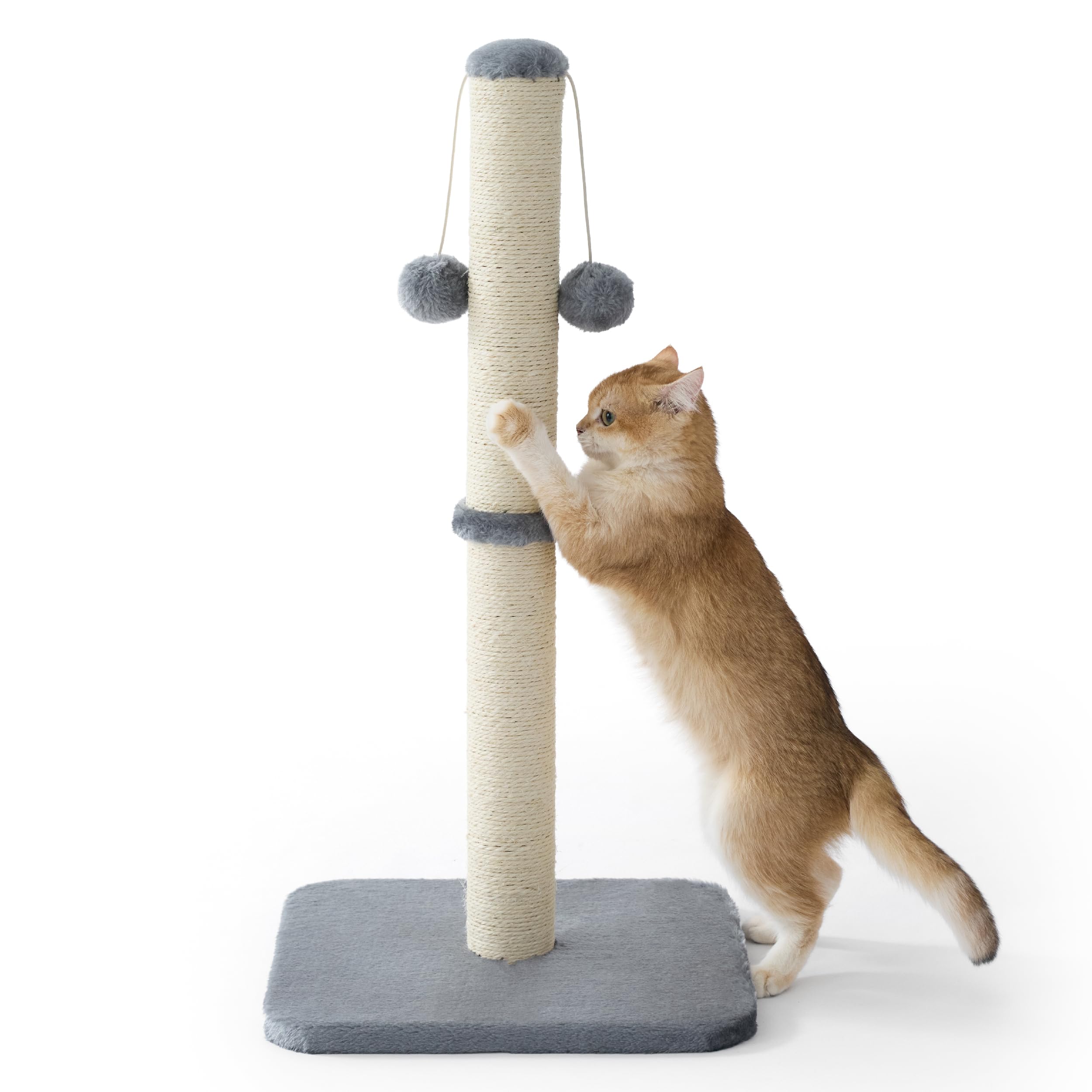 Lesure Kratzsäule Mittelgroßer für Katzen Indoor - Kratzstamm mit Hängendem Spielball, Kleiner Kratzbaum mit Sisalseil, Stabile Basis Kratzsäule