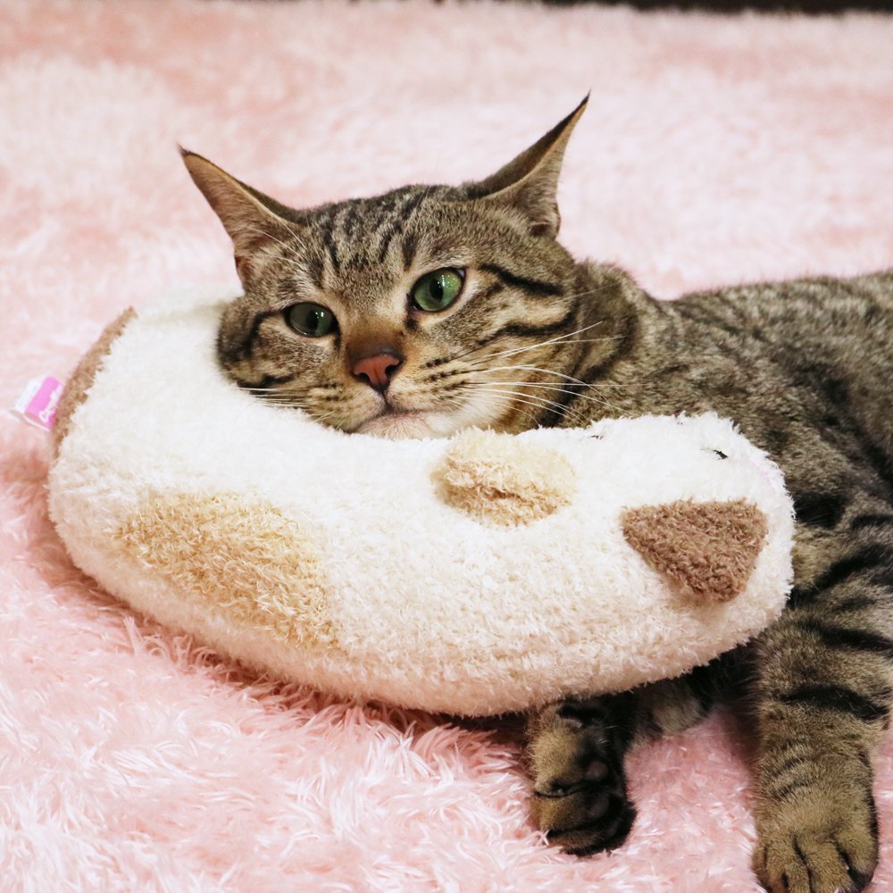 Amazon | キャティーマン (CattyMan) あごのせ猫枕 みけニャン