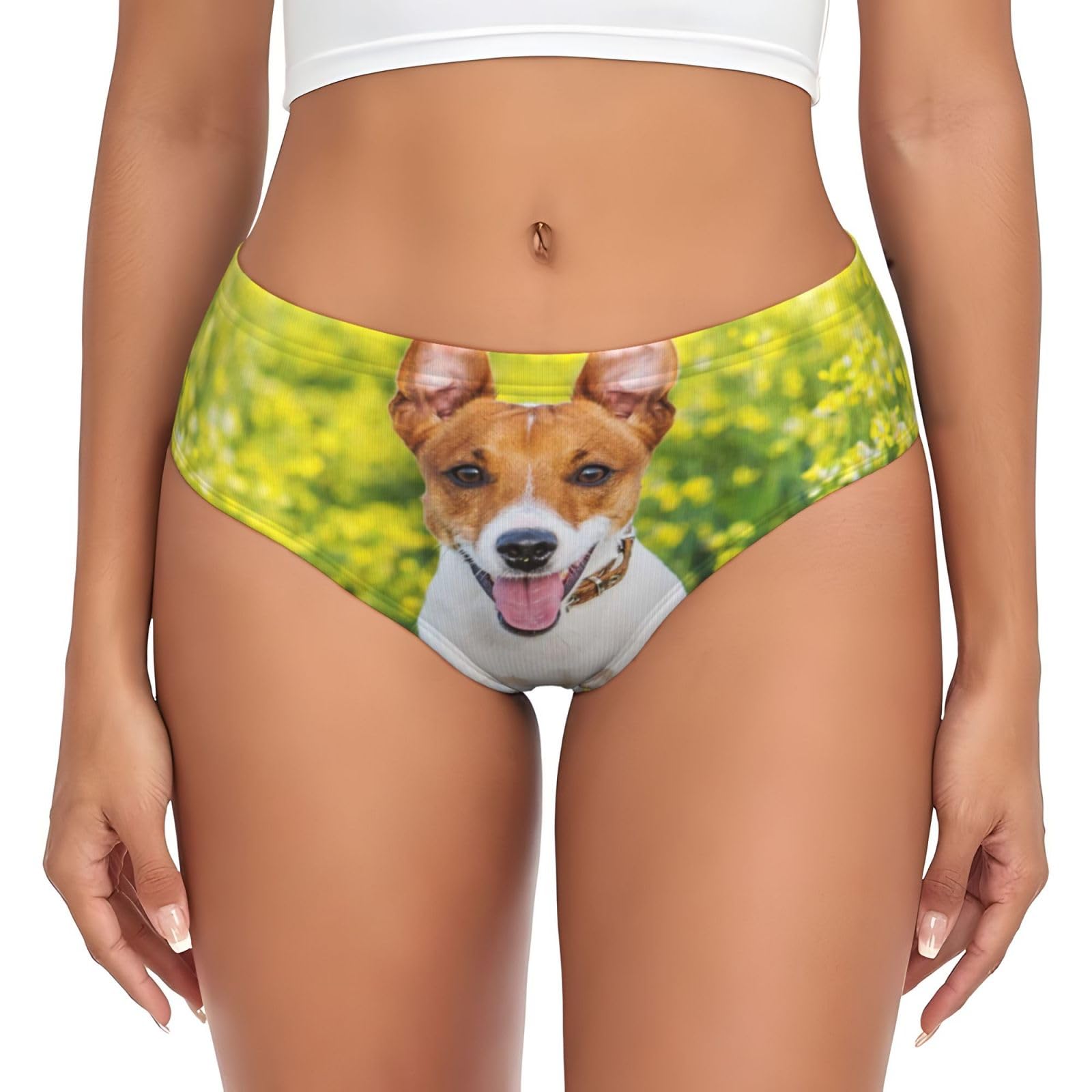 Yofien Women's Multicolour Jack Russell Flower Meadow's Briefs Underwear Support Pouch Comfort Soft Briefs For