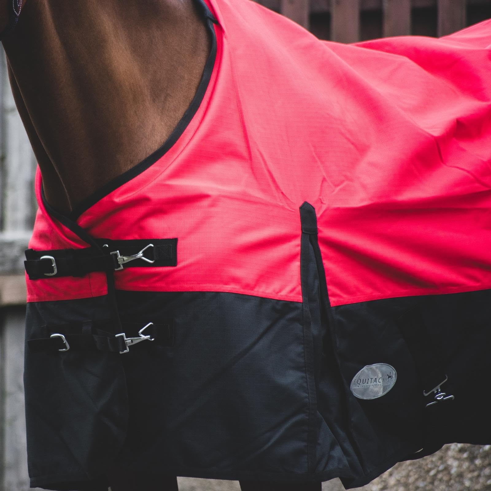 Equitack 1200D Winterdecke Pferd, 155cm | Regular Regendecke Pferd mit Fleece Lining | wasserdichte Outdoordecke Pferd | Red/Black