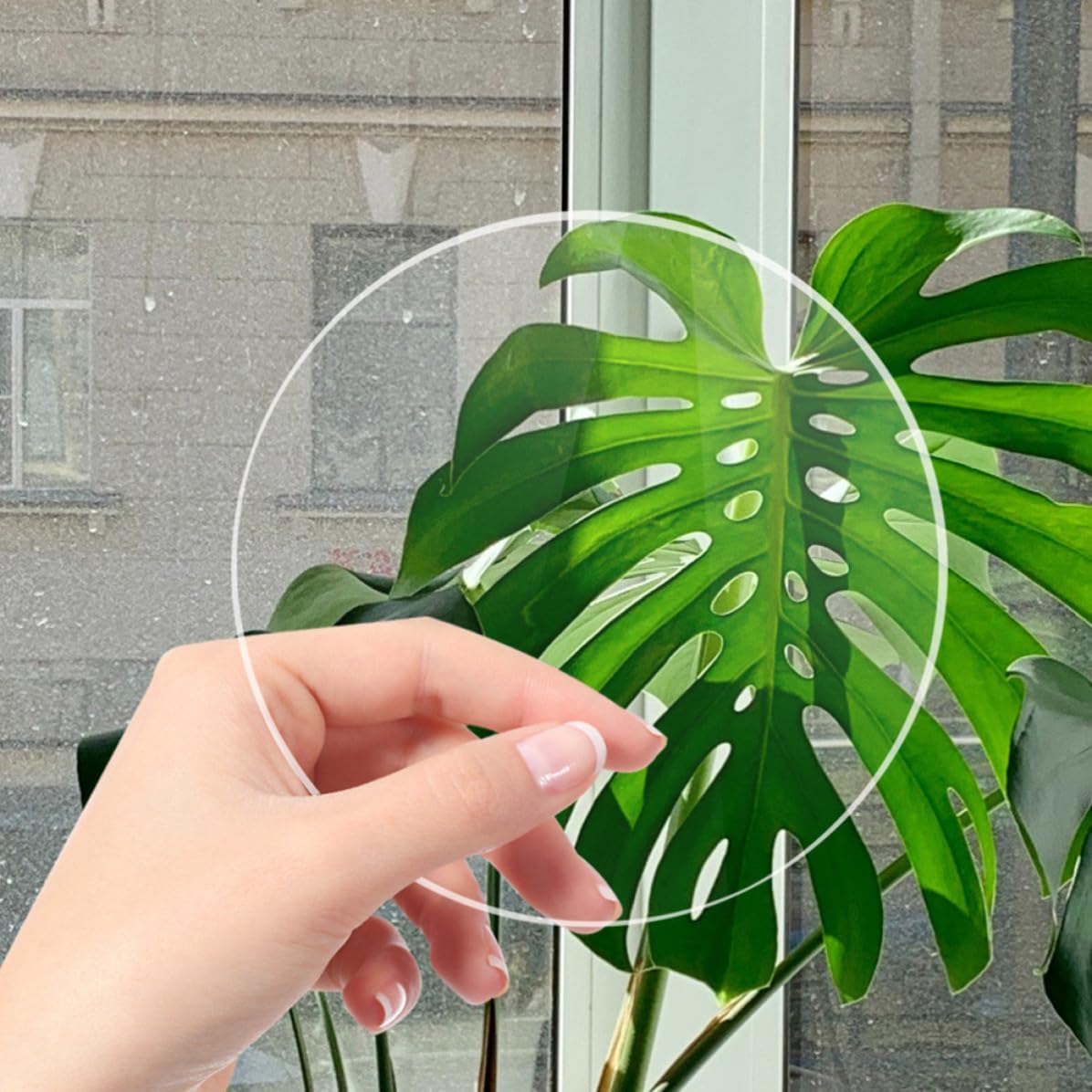 20pcs Acrylic Circle Blanks for Tabletop Craft Projects