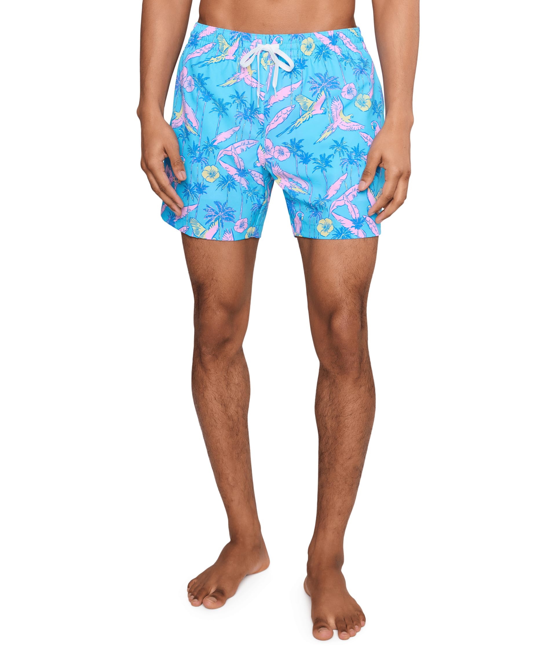 Chubbies The Flock Parties 5.5" (Classic Lined Swim Trunks)