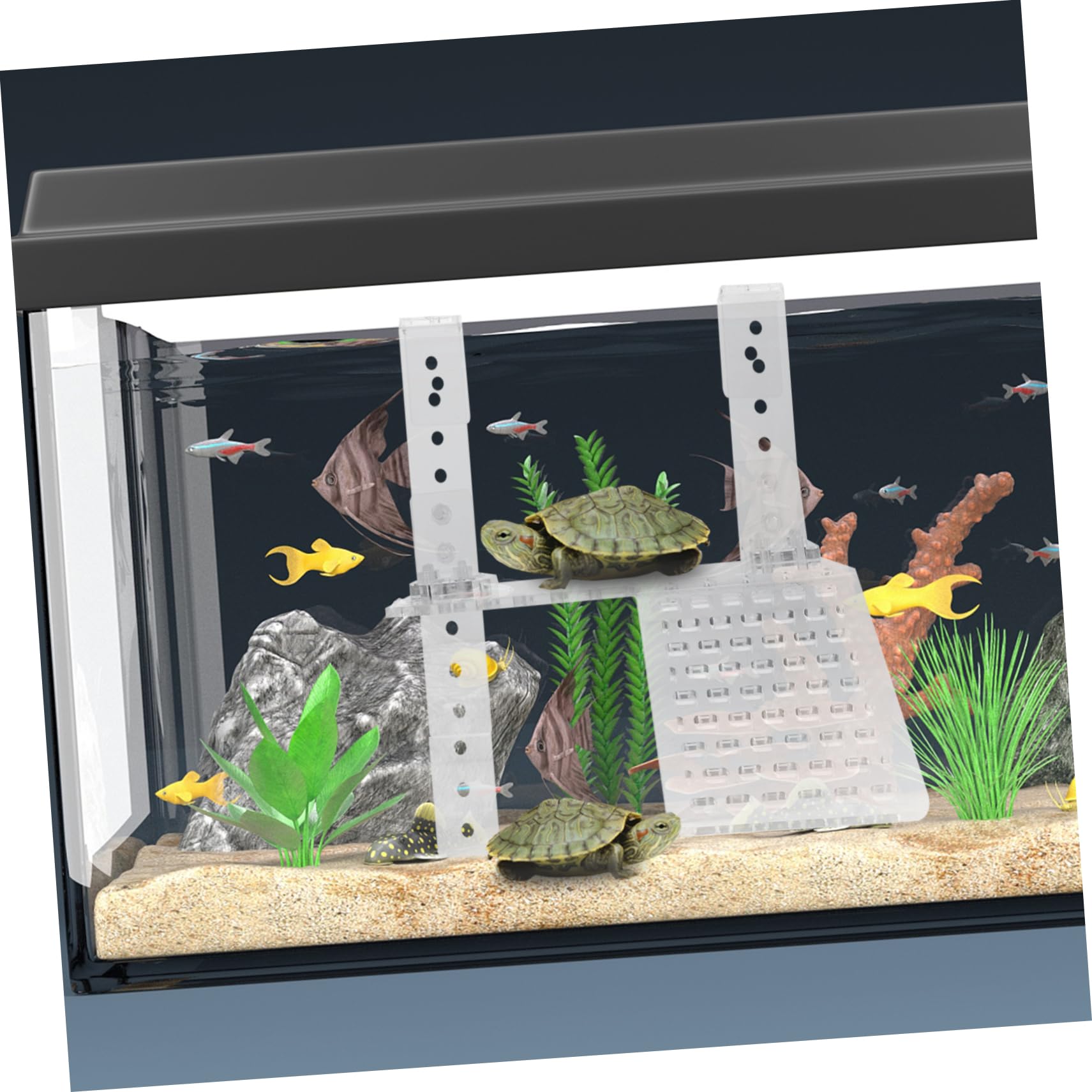 GALPADA 1 Piattaforma per Tartarughe Acrilico Design Antiscivolo Accessorio per Rettili Adatta per Piccole Tartarughe e Compatibile con Acquari e Acrilico