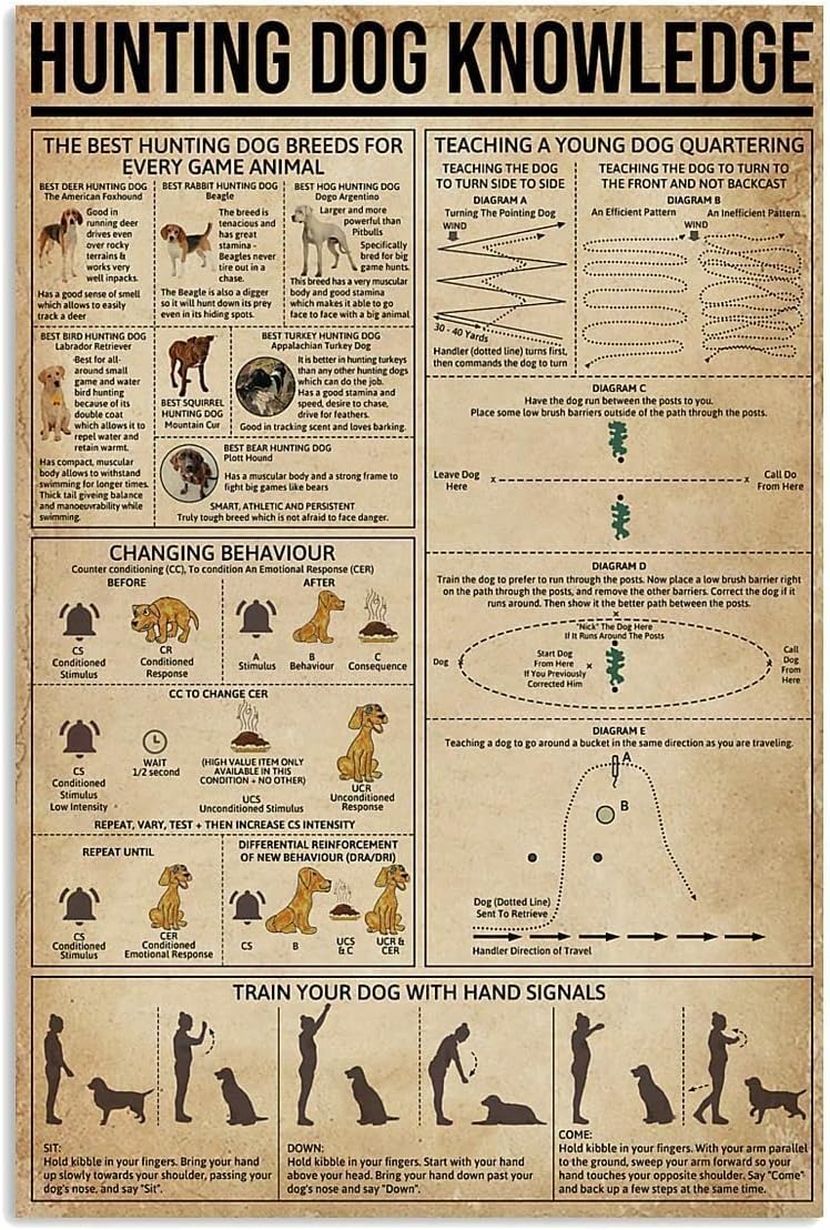 Peiyeety D-185 Hunting Dog Knowledge Metal Tin Signs Hunting Dog Information Retro Poster Popular Science Educational Charts Wall Plaques Decor For Home Classroom Room Office 12X16 Inch